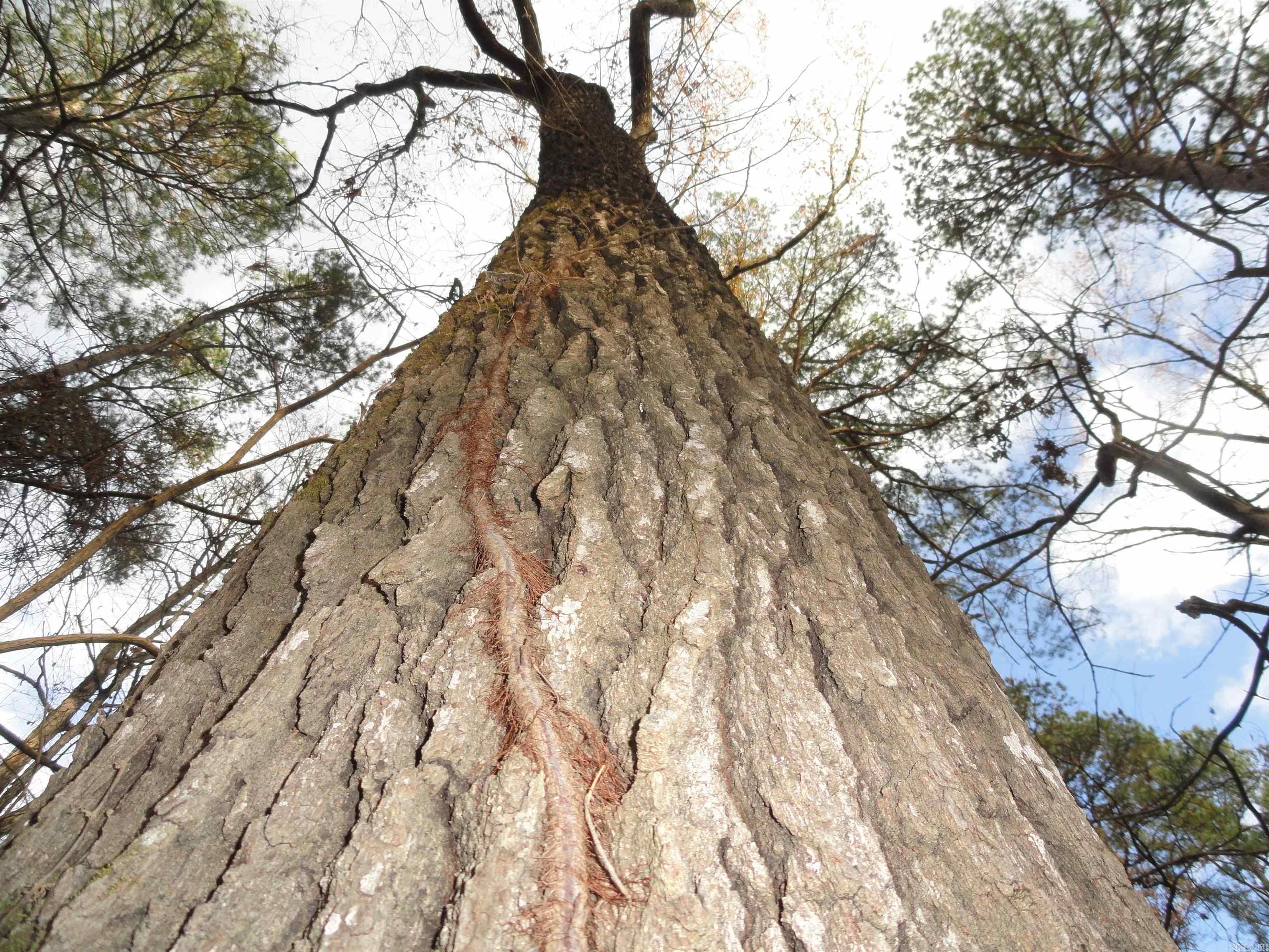 26020 Hensley  Hensley, AR