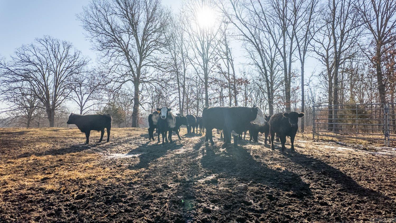 000 N County Road 113  Alton, MO