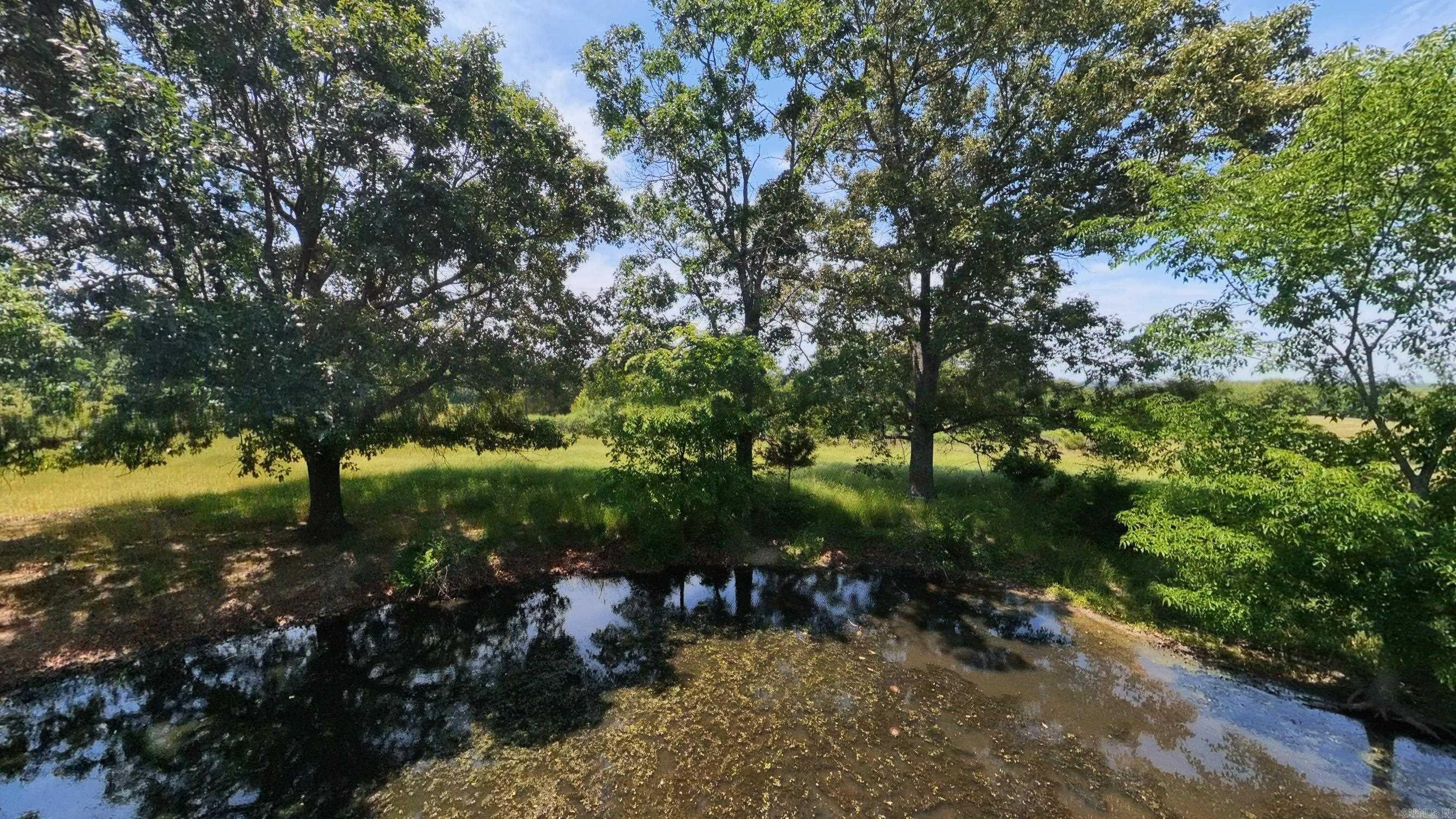 000 N County Road 113  Alton, MO