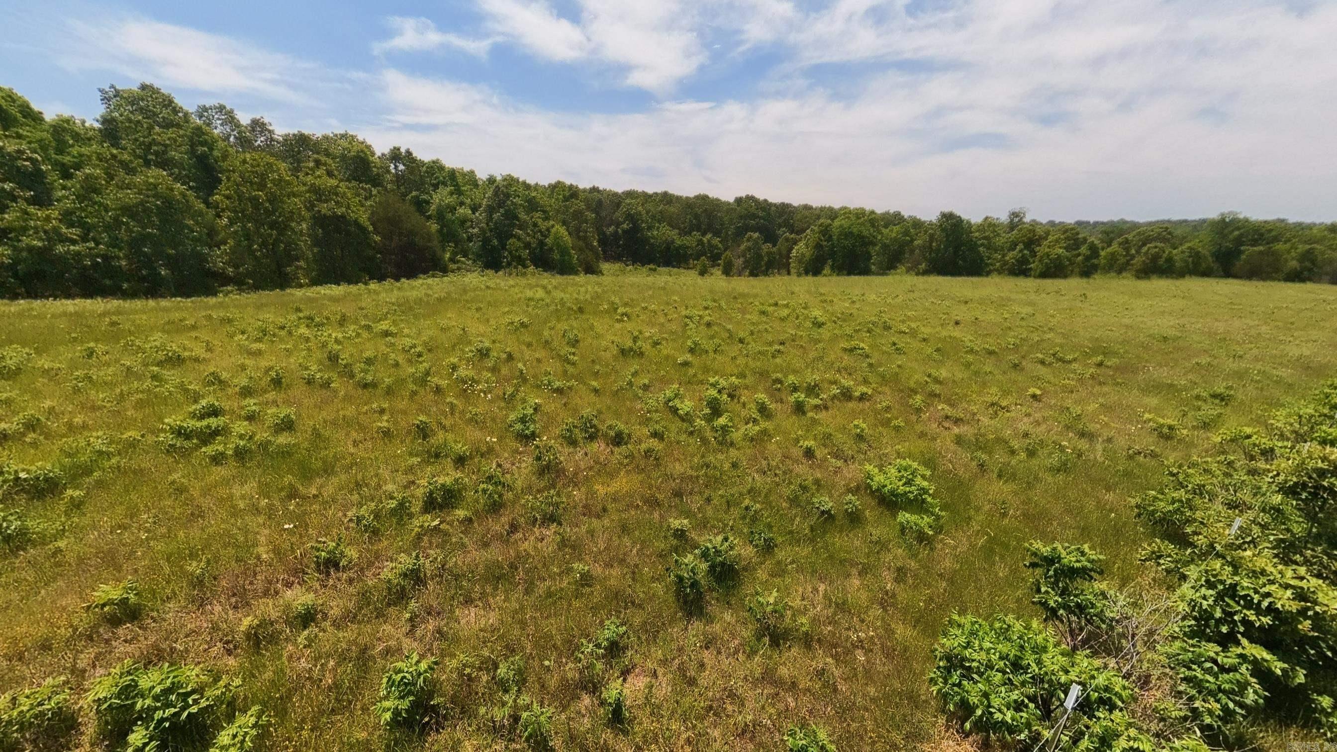 000 N County Road 113  Alton, MO