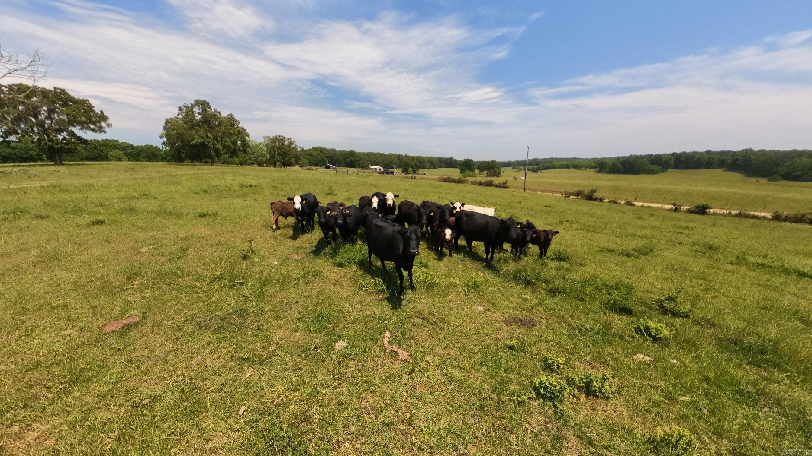 000 N County Road 113  Alton, MO
