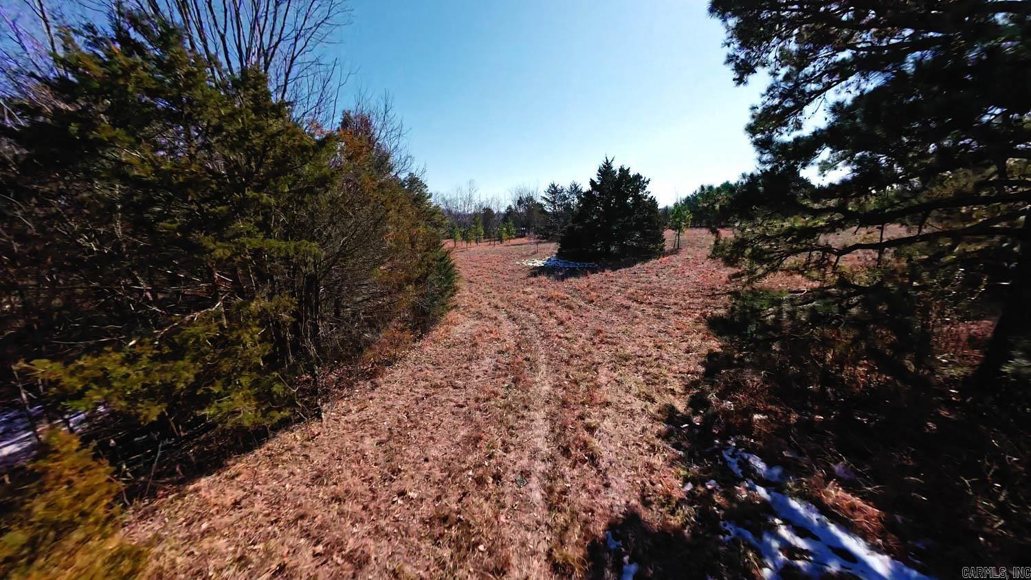 676 County Road 403  Alton, MO