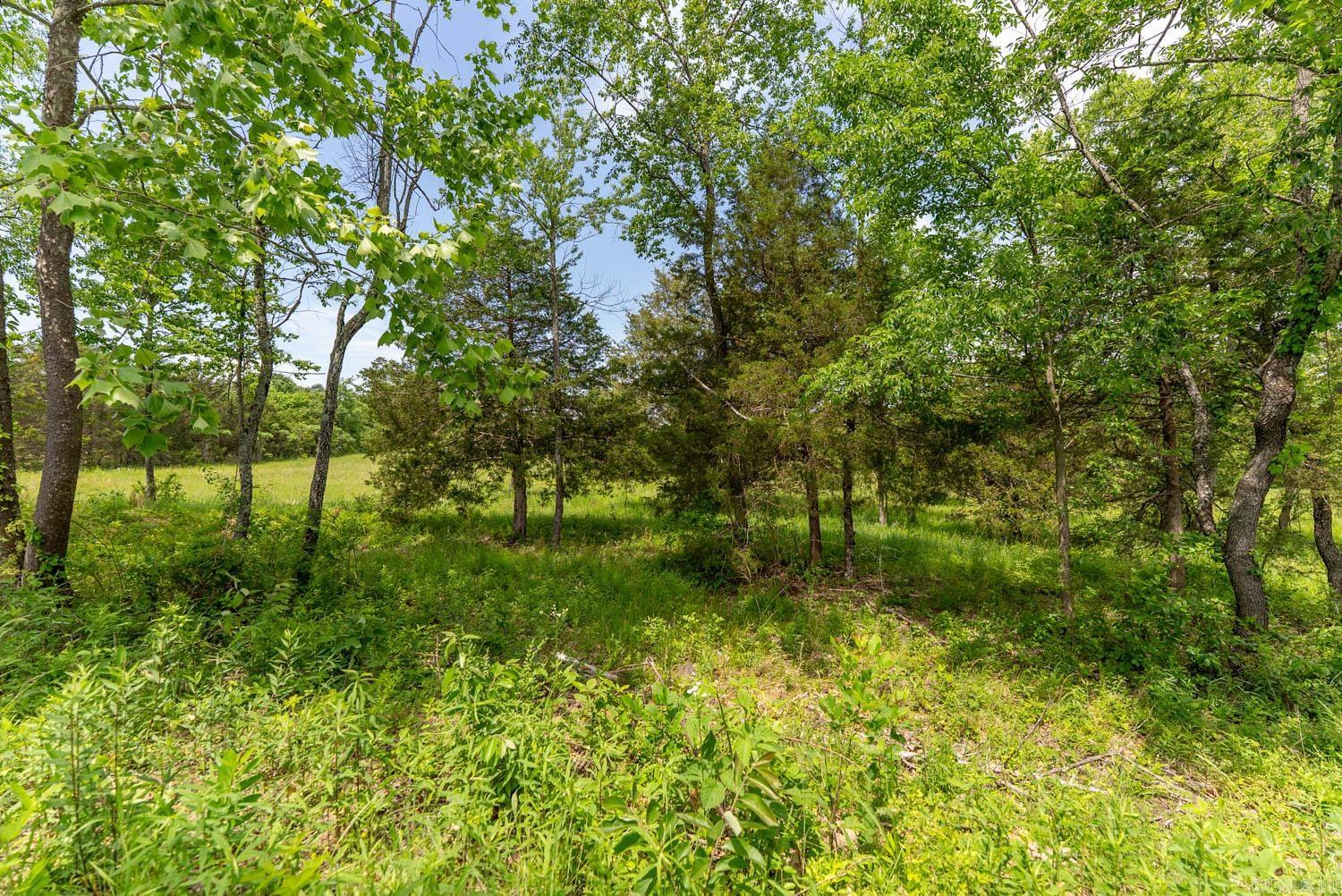676 County Road 403  Alton, MO