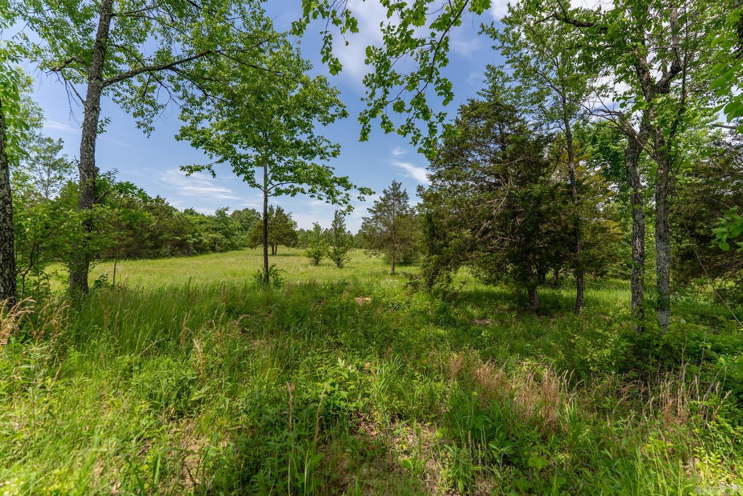 676 County Road 403  Alton, MO