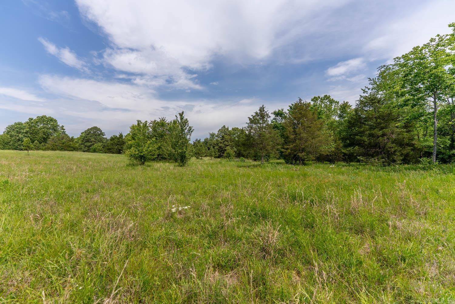676 County Road 403  Alton, MO