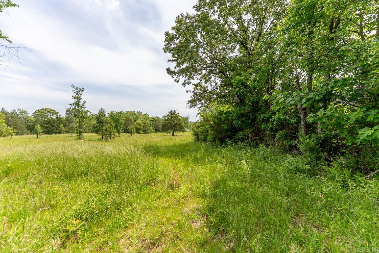 676 County Road 403  Alton, MO