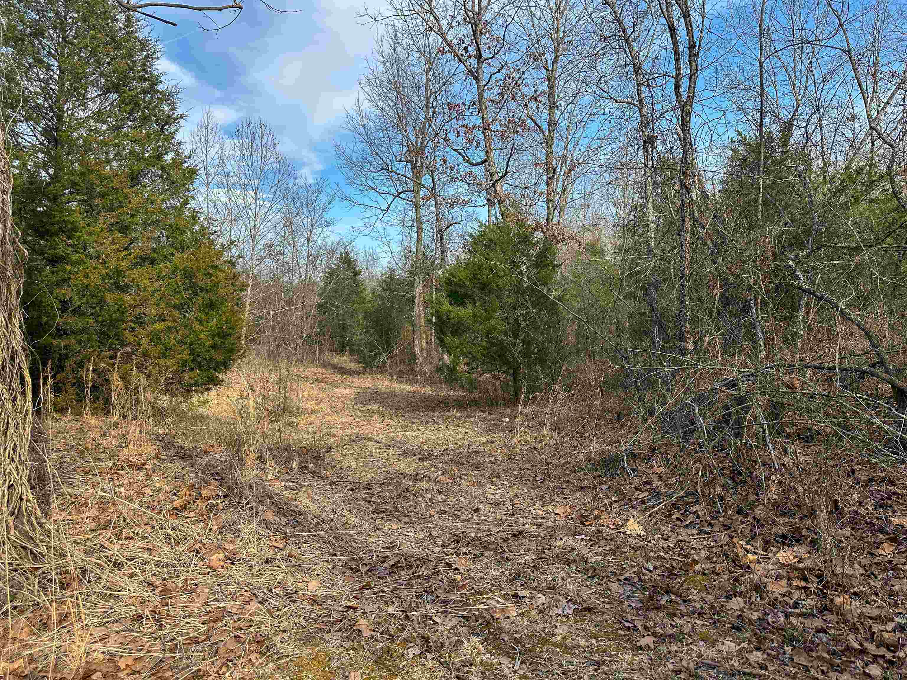 XX N Summit Ridge  Williford, AR