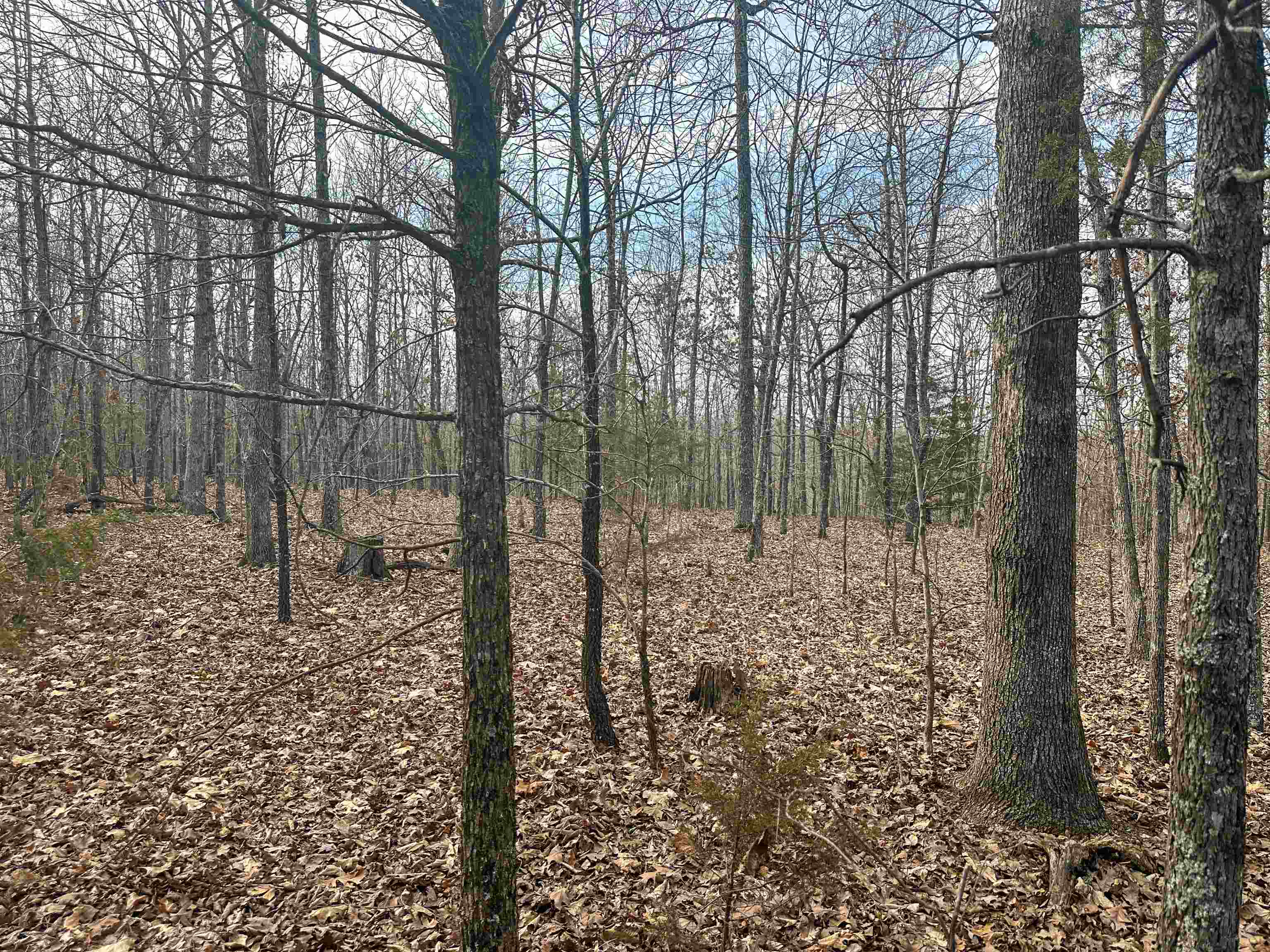 XX N Summit Ridge  Williford, AR