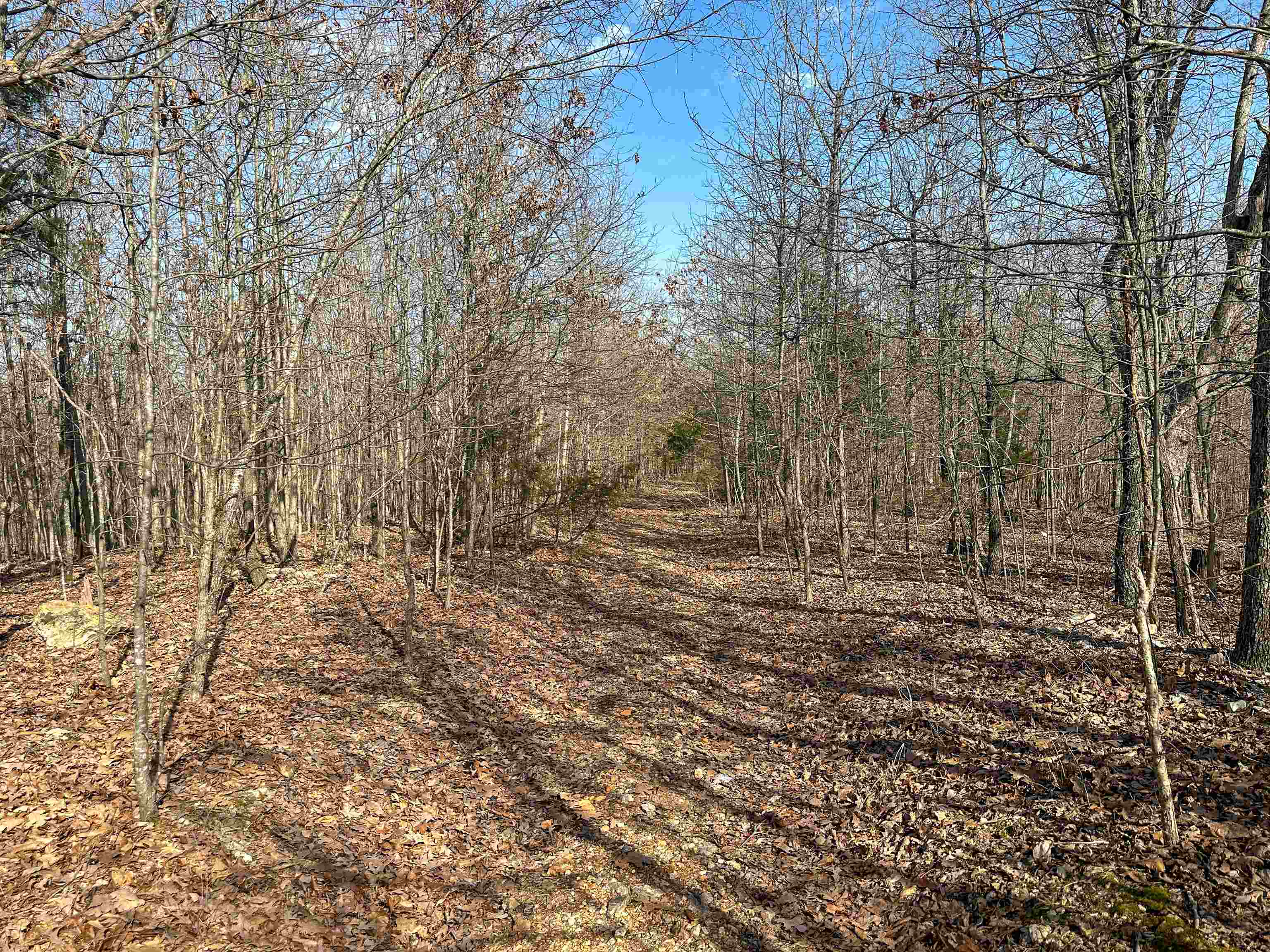 XX N Summit Ridge  Williford, AR