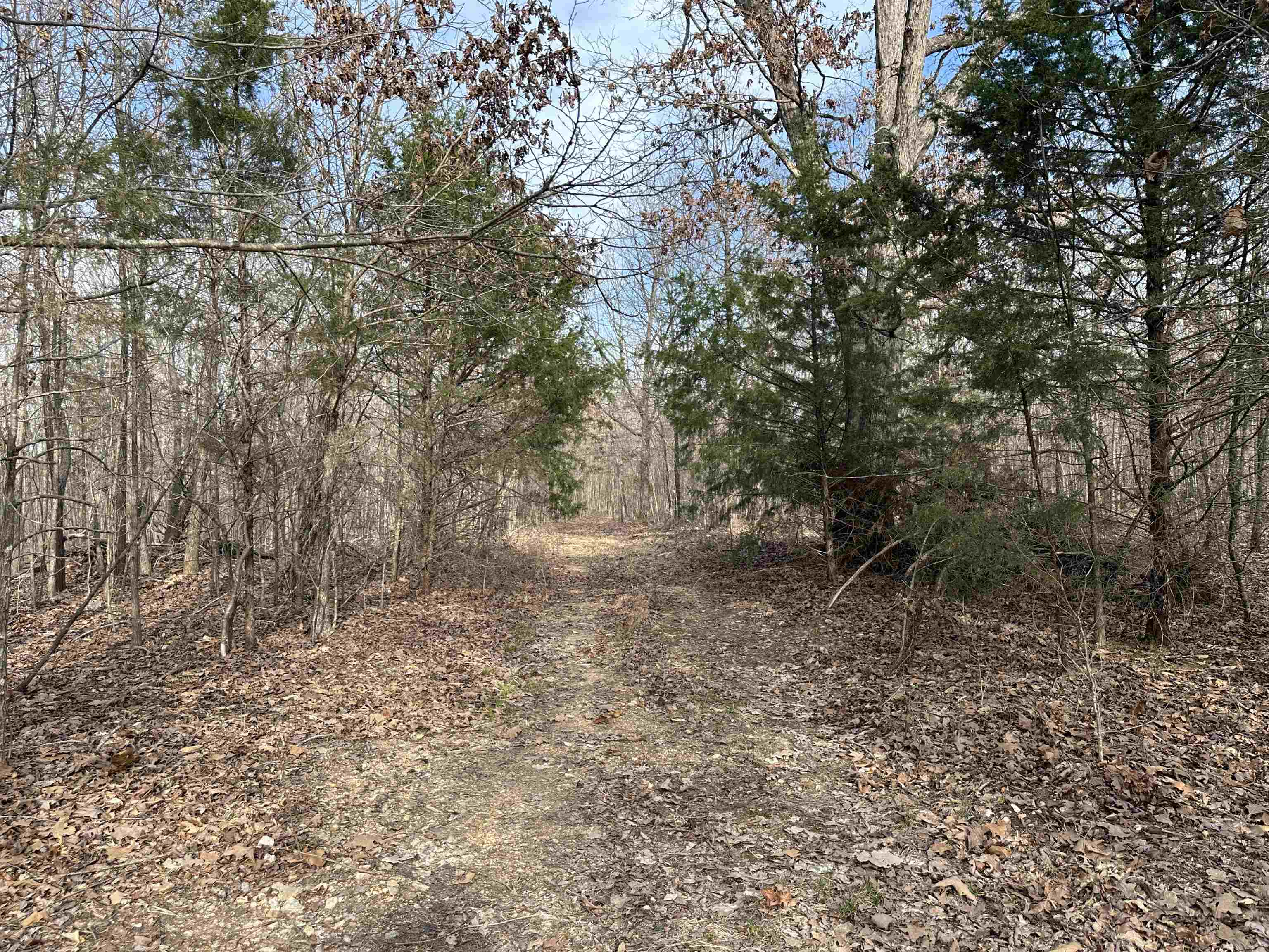 XX N Summit Ridge  Williford, AR