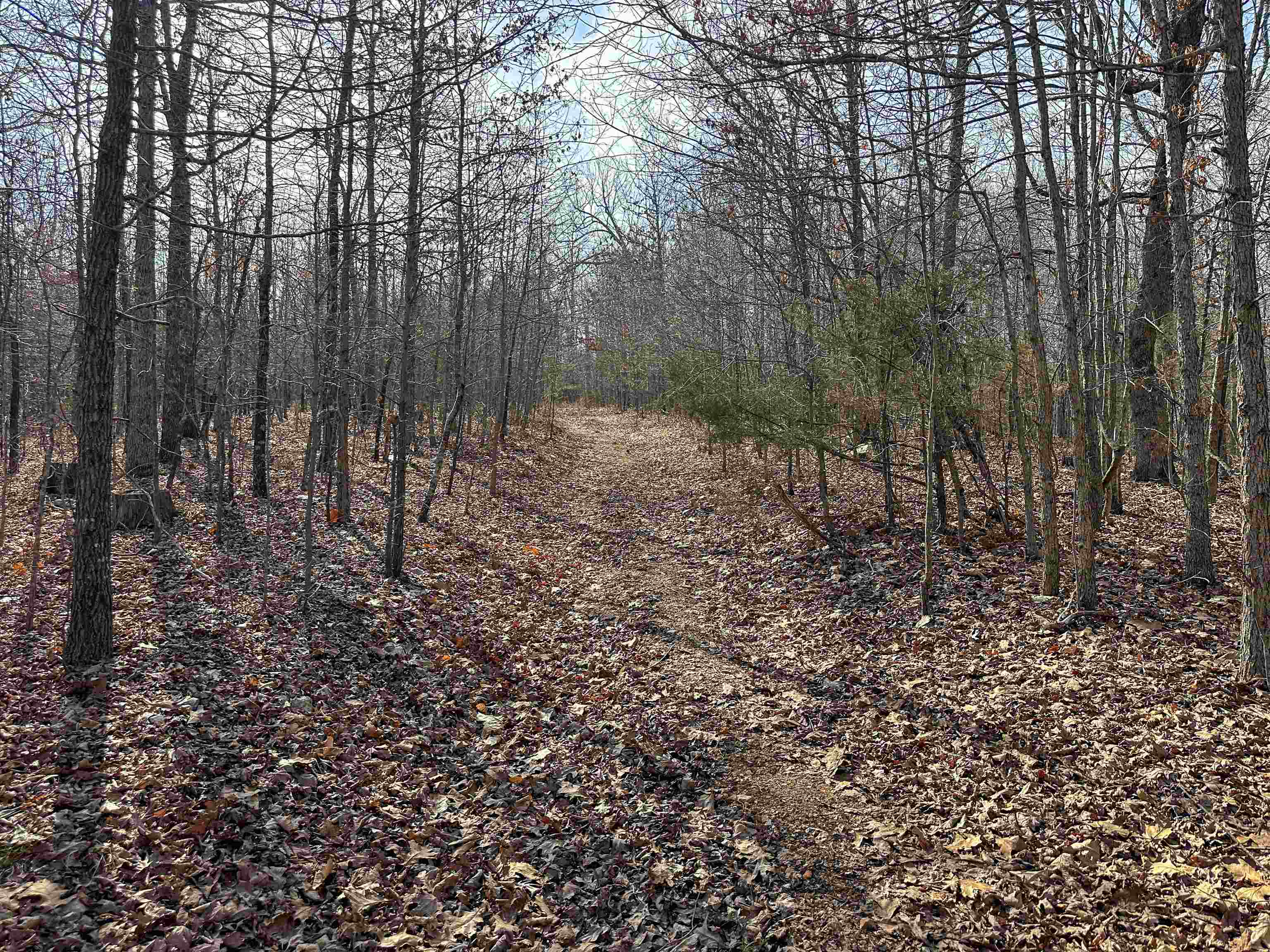 XX N Summit Ridge  Williford, AR