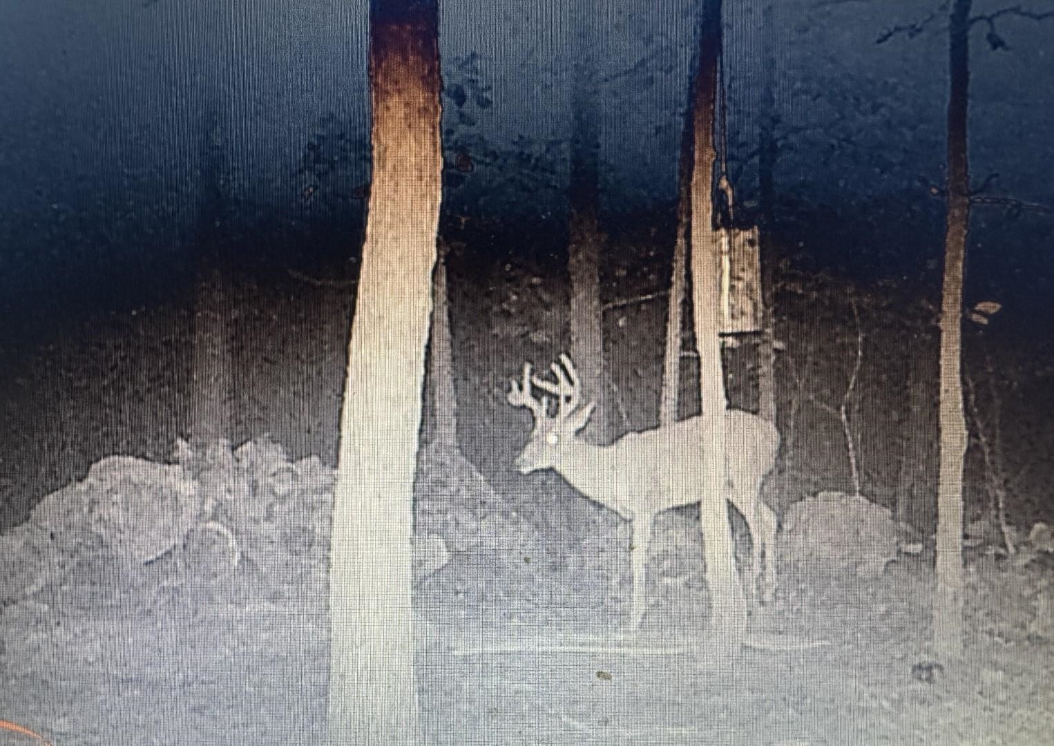 XX N Summit Ridge  Williford, AR