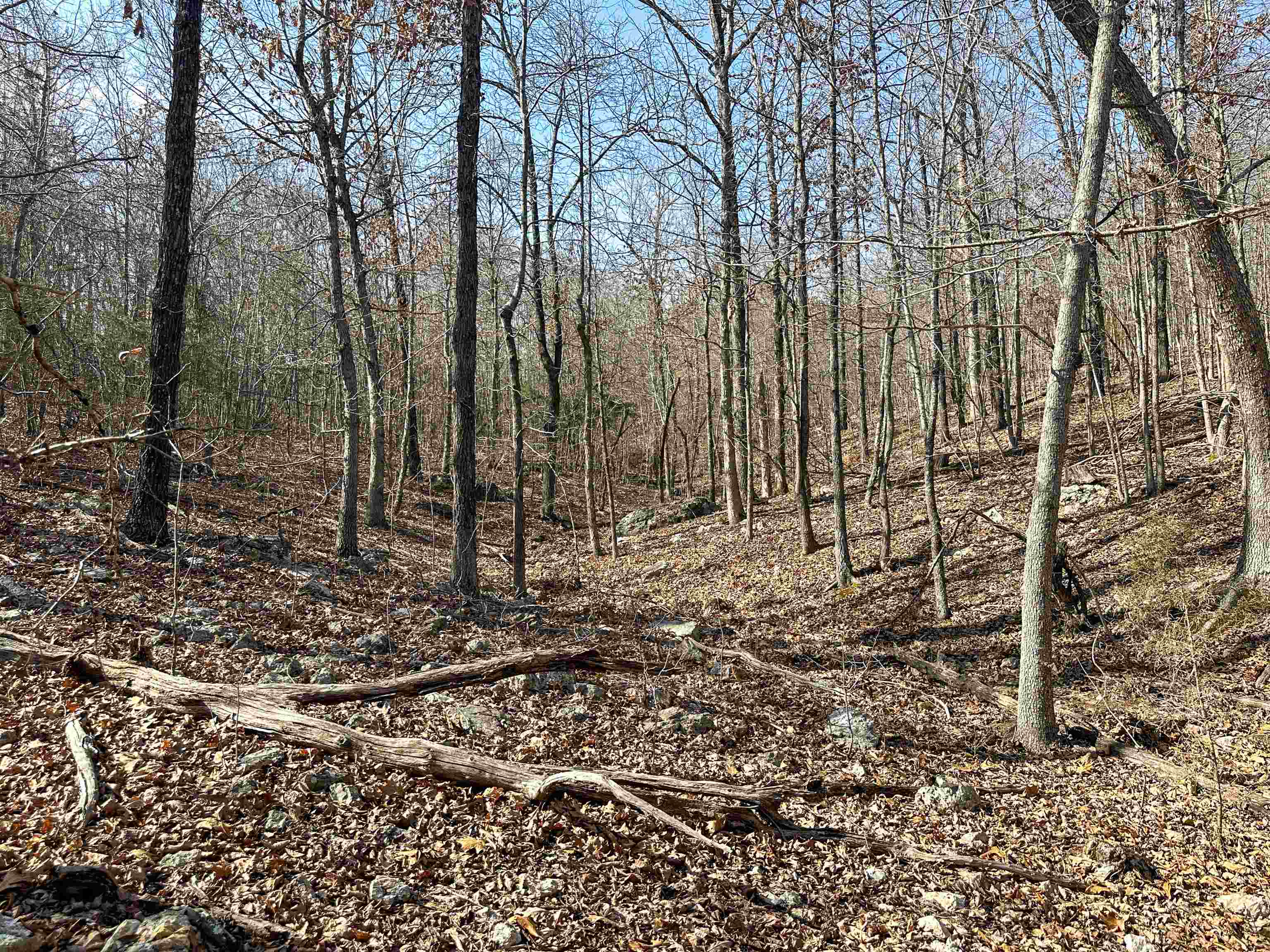 XX N Summit Ridge  Williford, AR