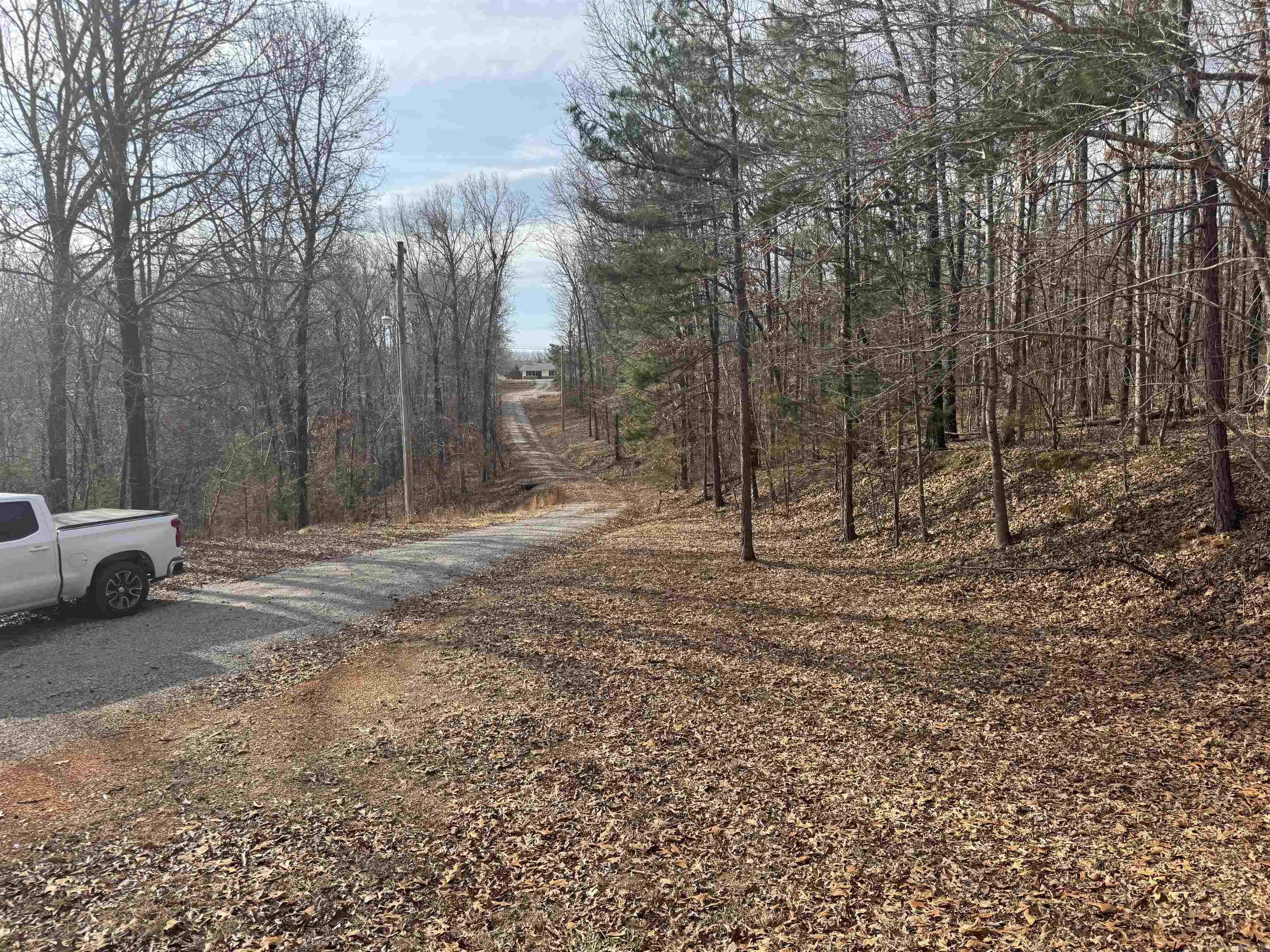 1004 herpel  Mountain View, AR