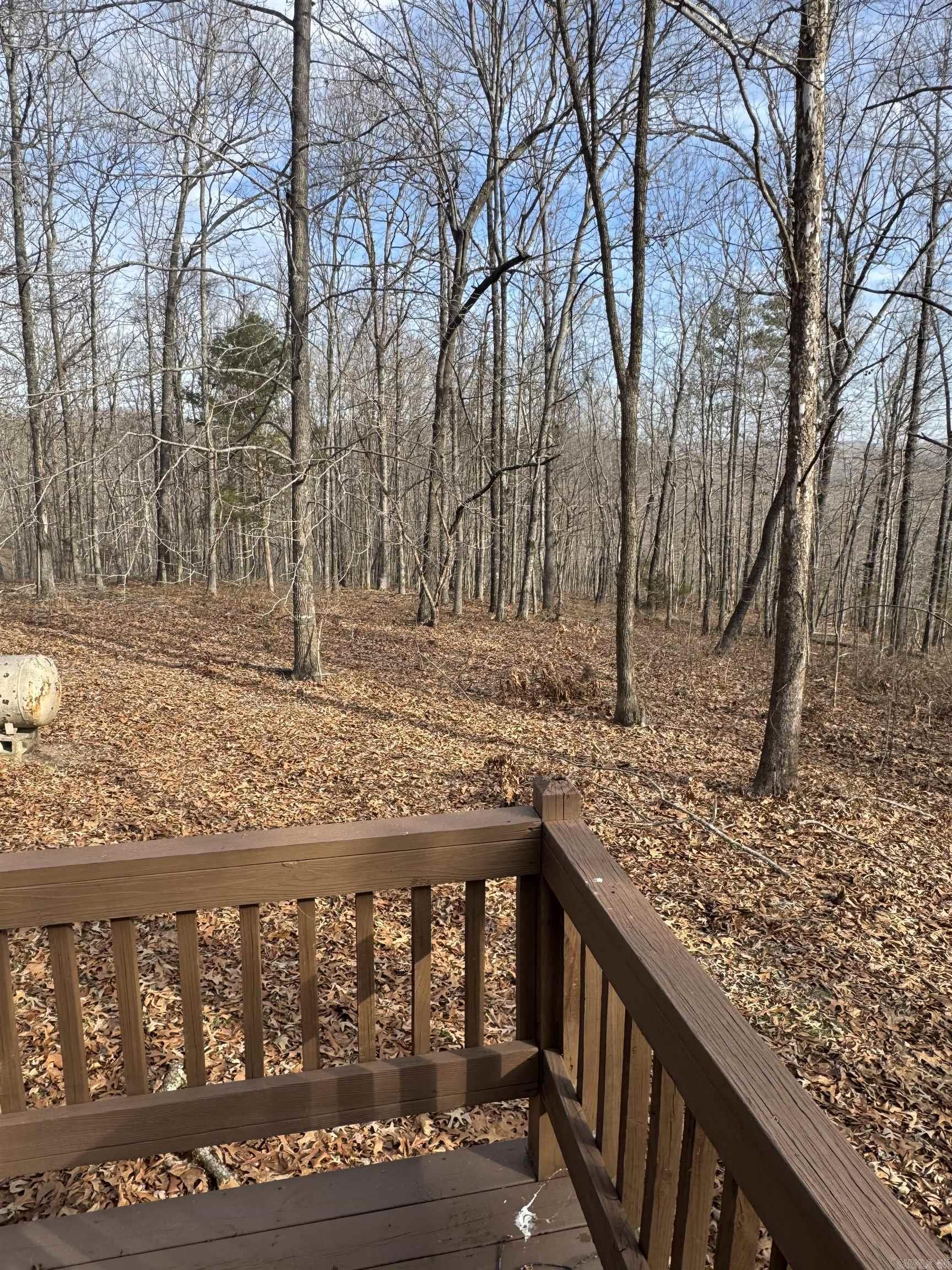 1004 herpel  Mountain View, AR