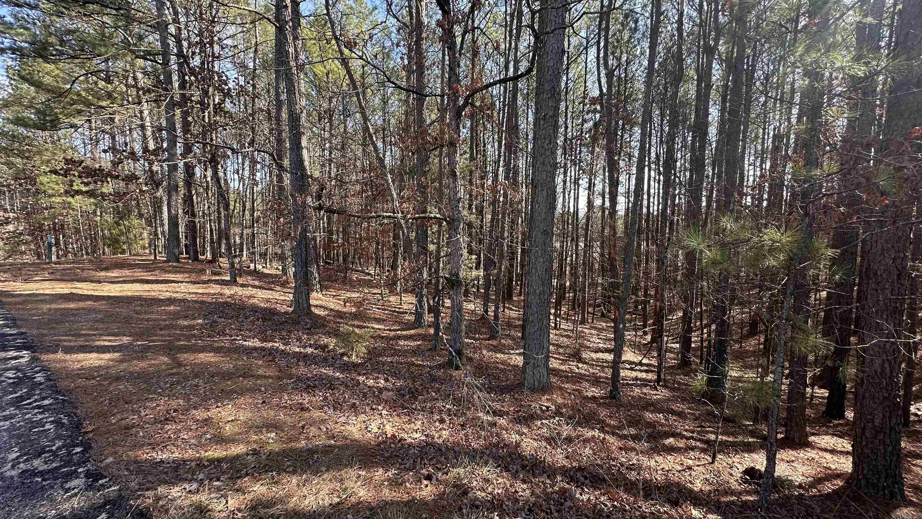 8 Sorprendente  Hot Springs Village, AR