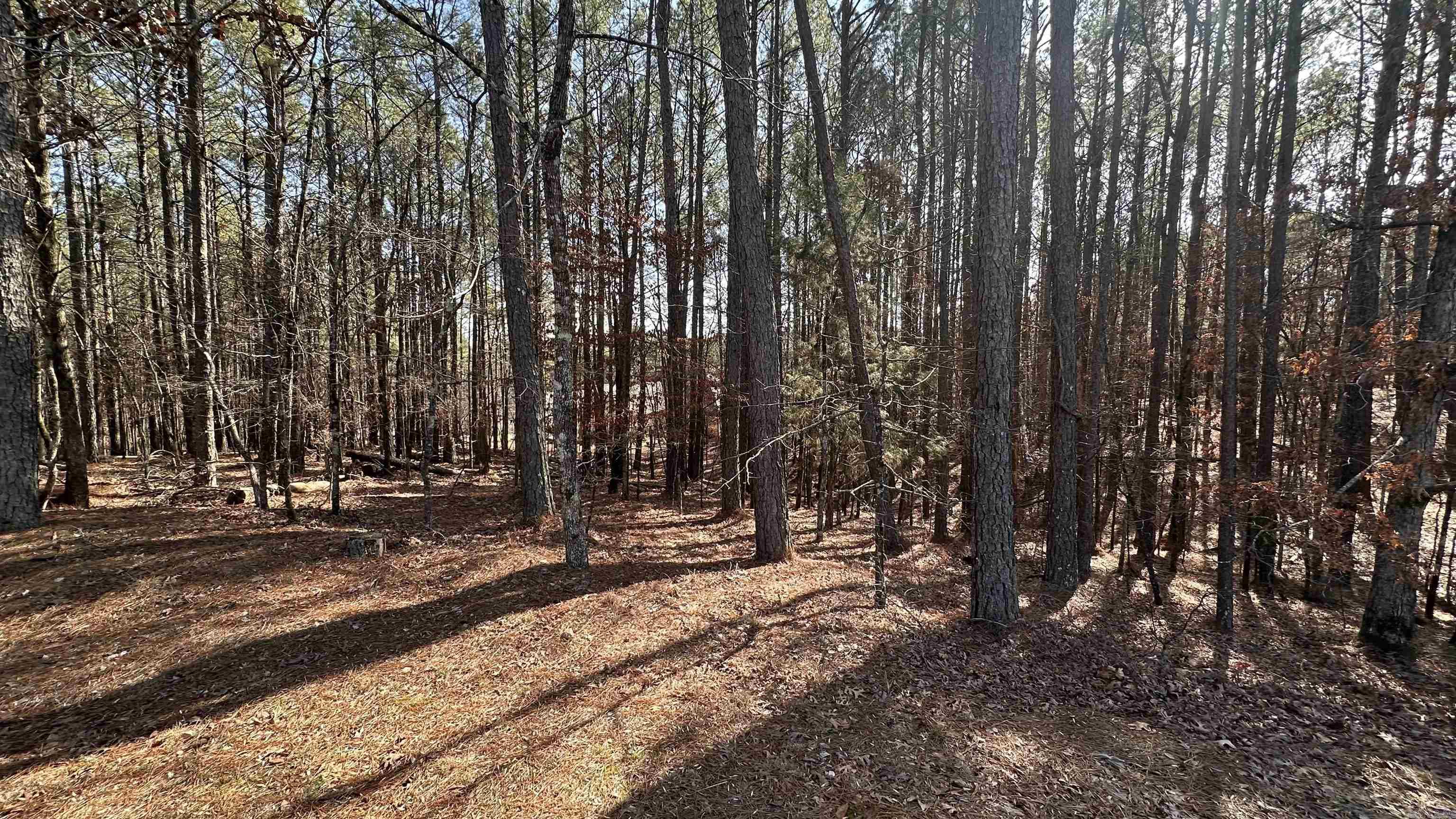 8 Sorprendente  Hot Springs Village, AR