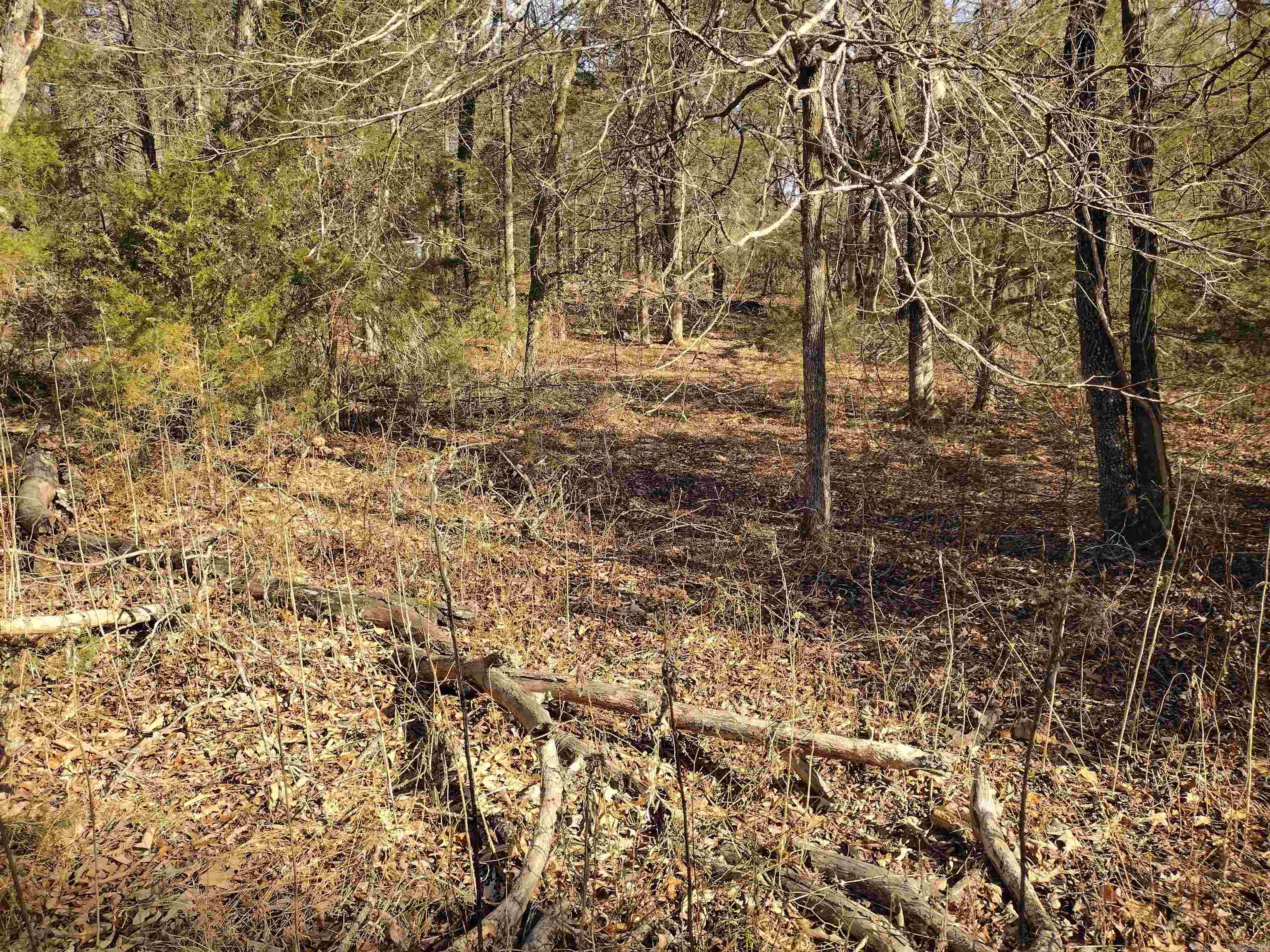 tract 8 St James rd  Mountain View, AR