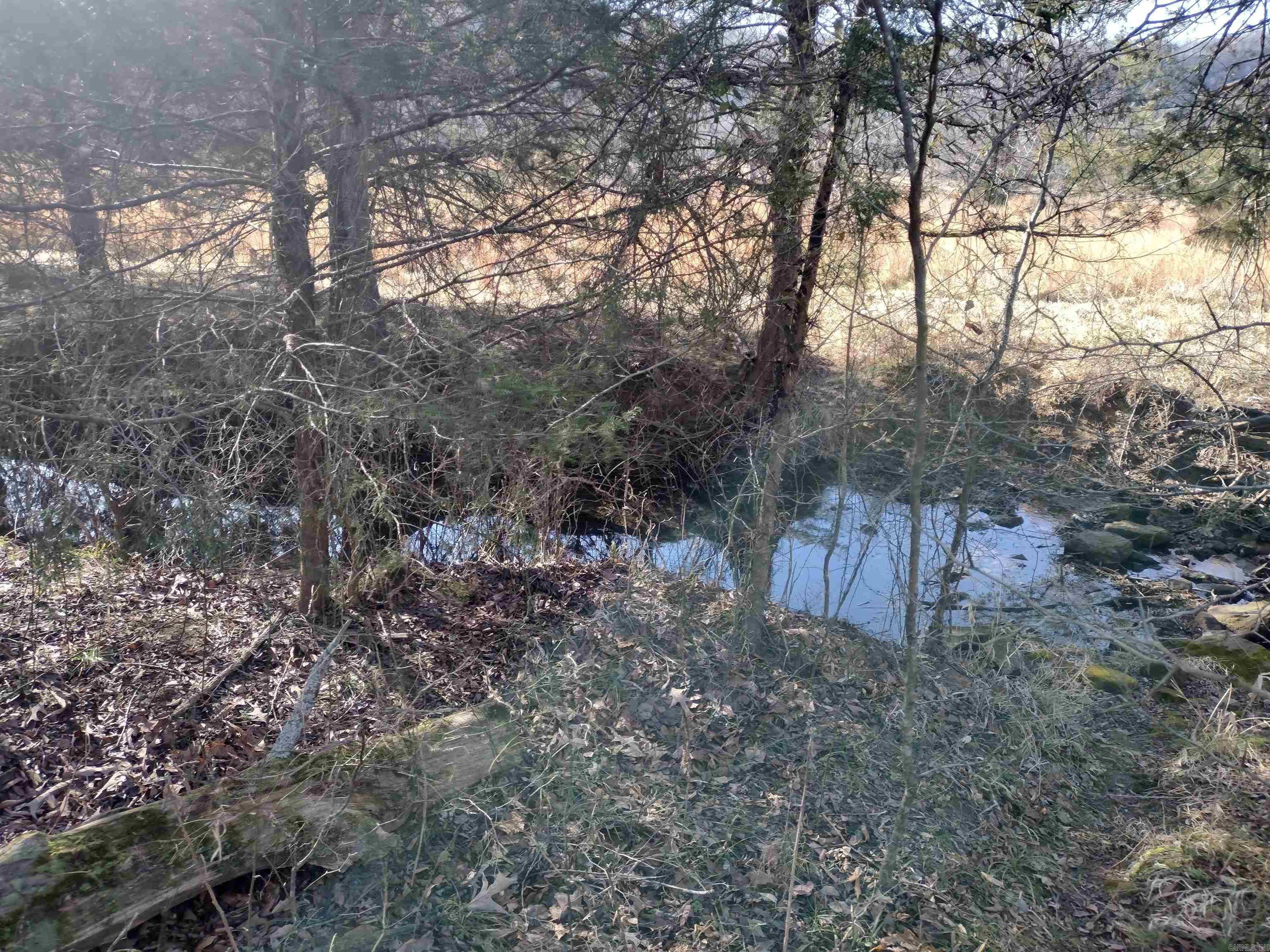 tract 8 St James rd  Mountain View, AR