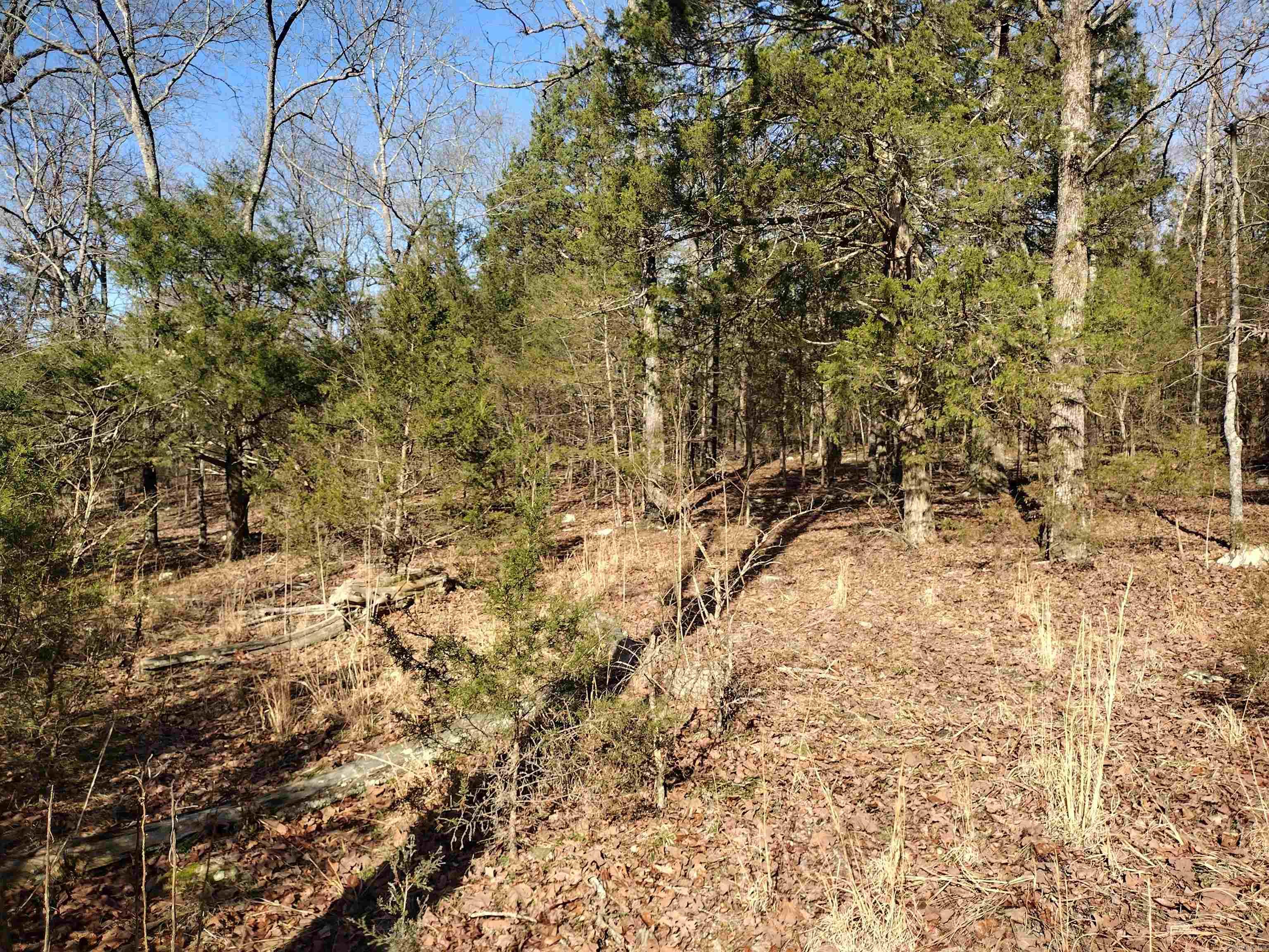 tract 8 St James rd  Mountain View, AR