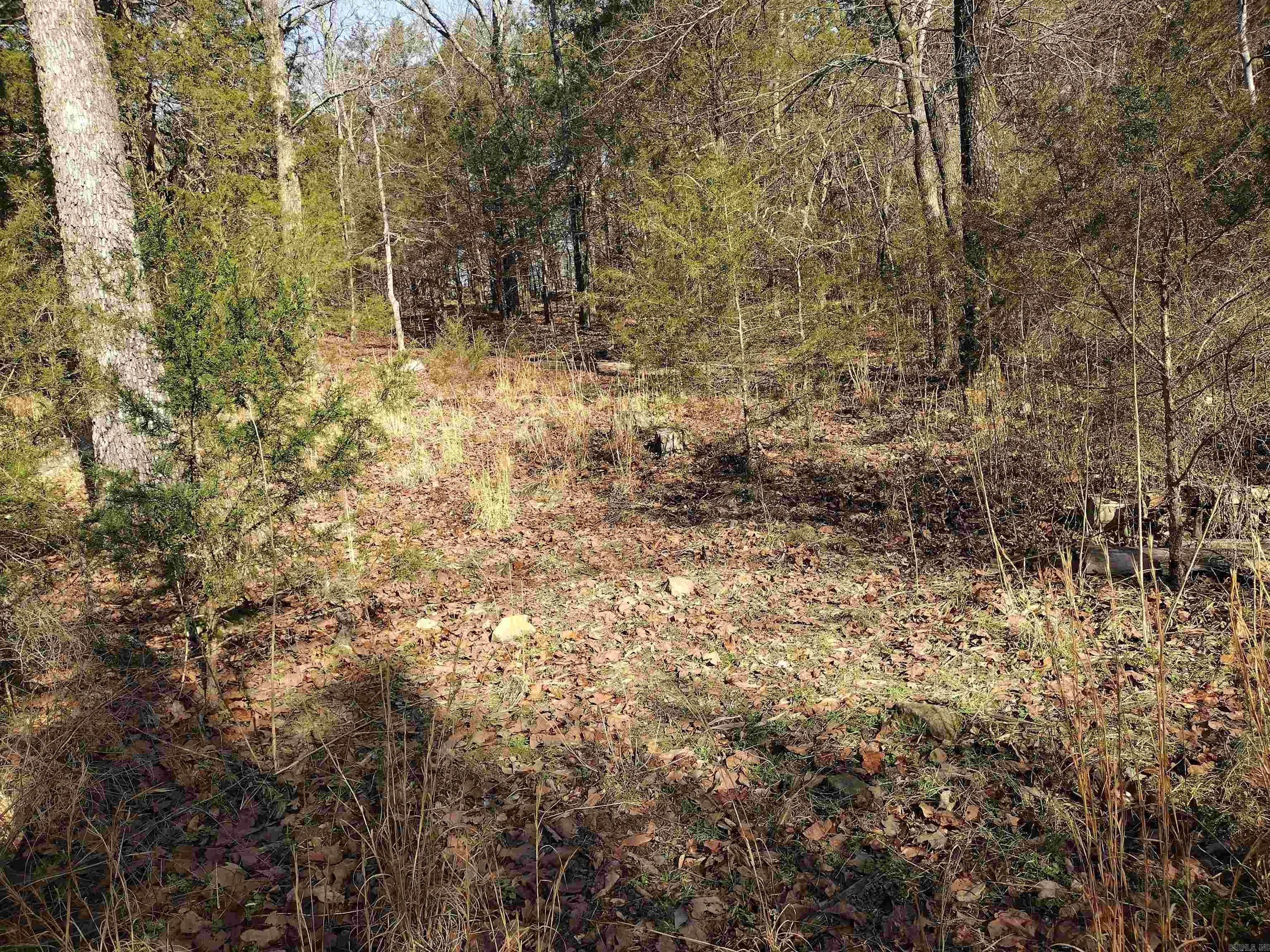 tract 8 St James rd  Mountain View, AR