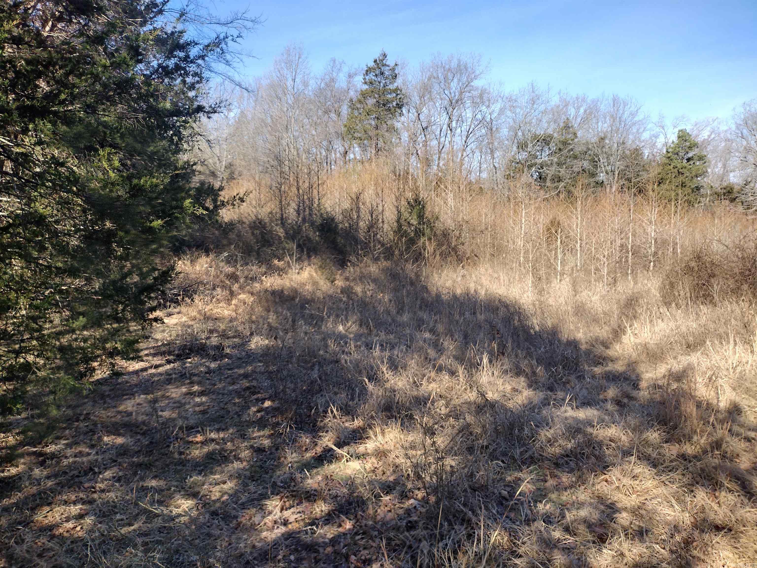 tract 8 St James rd  Mountain View, AR