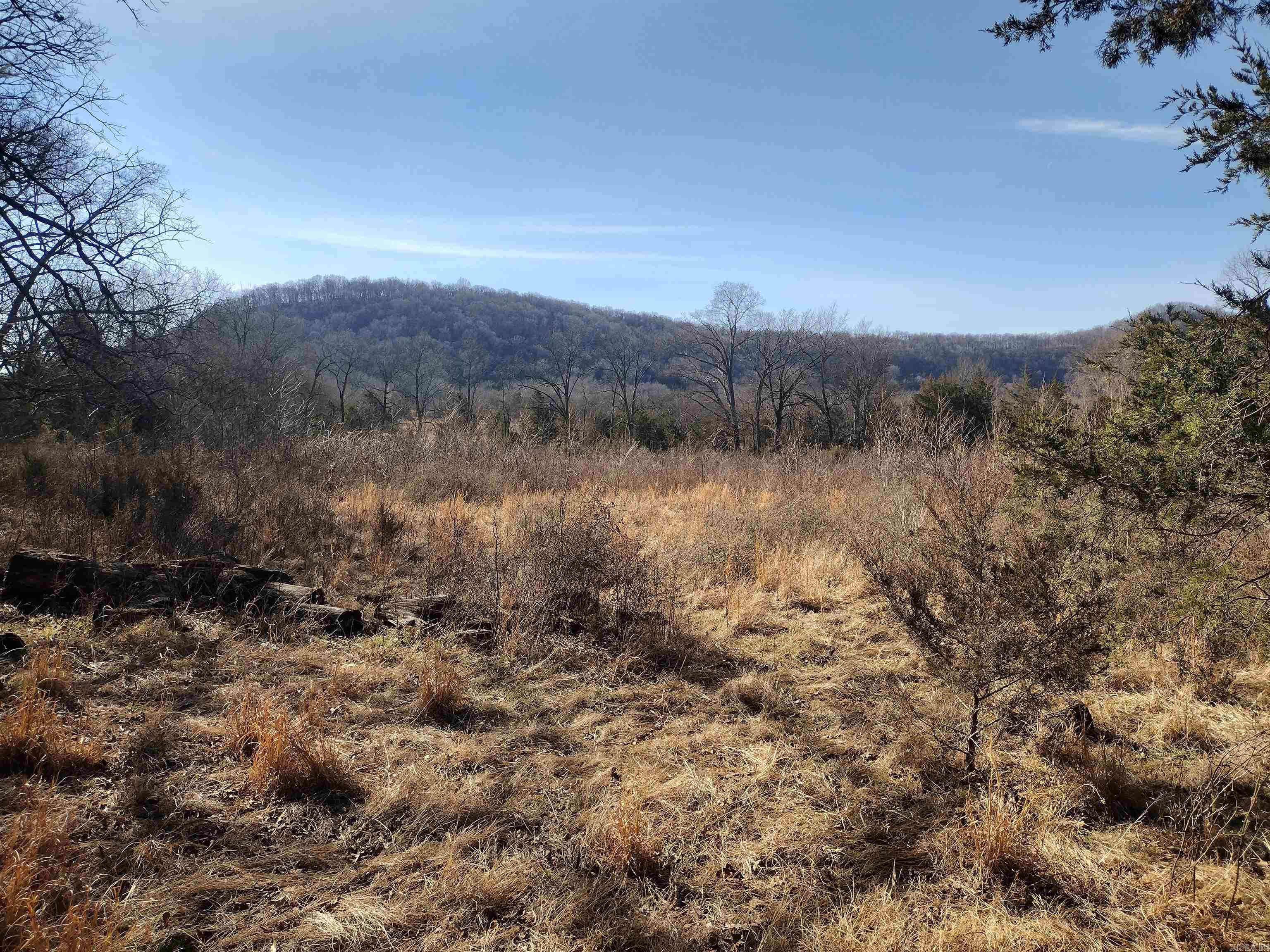 tract 8 St James rd  Mountain View, AR