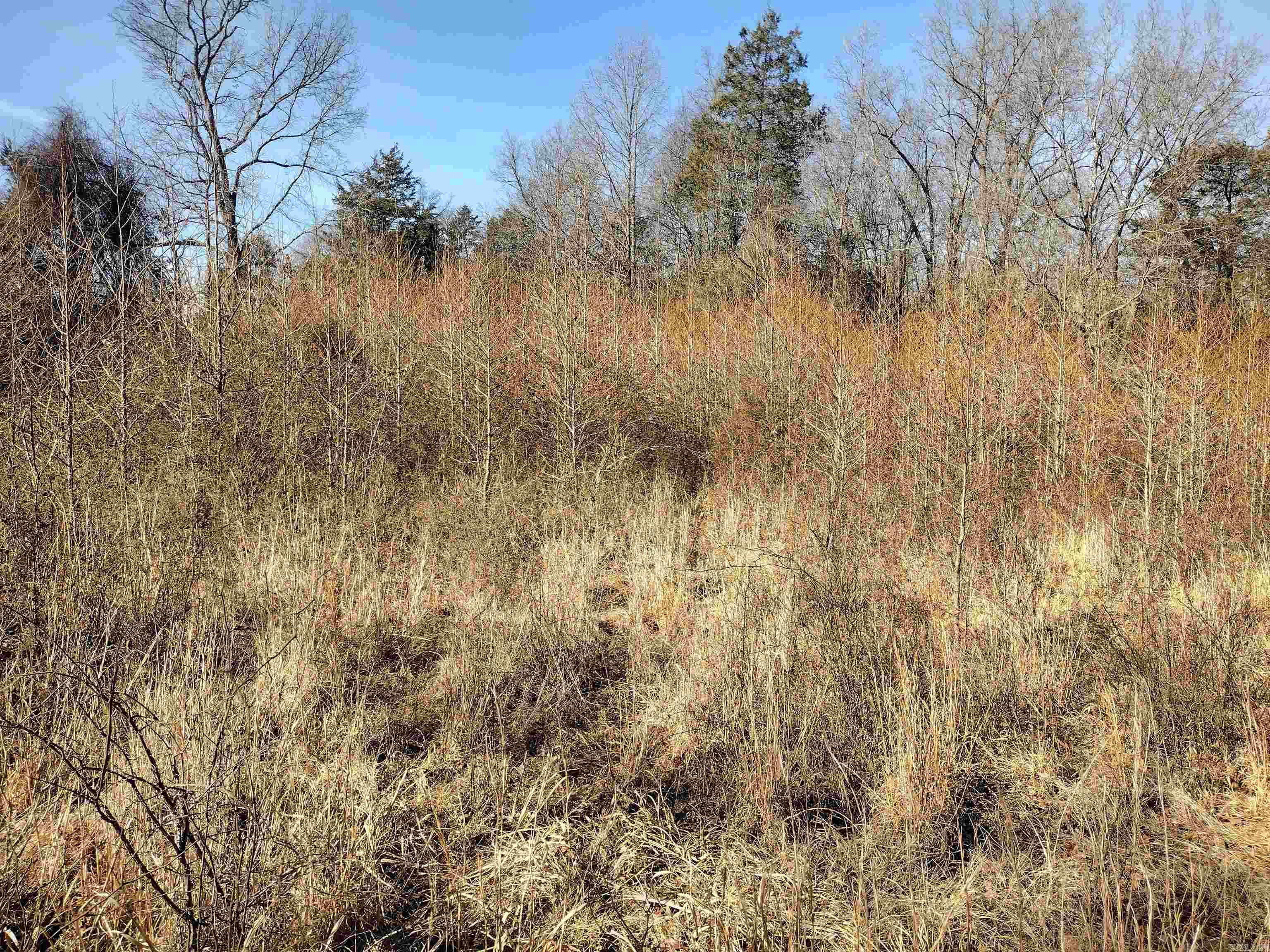 tract 8 St James rd  Mountain View, AR