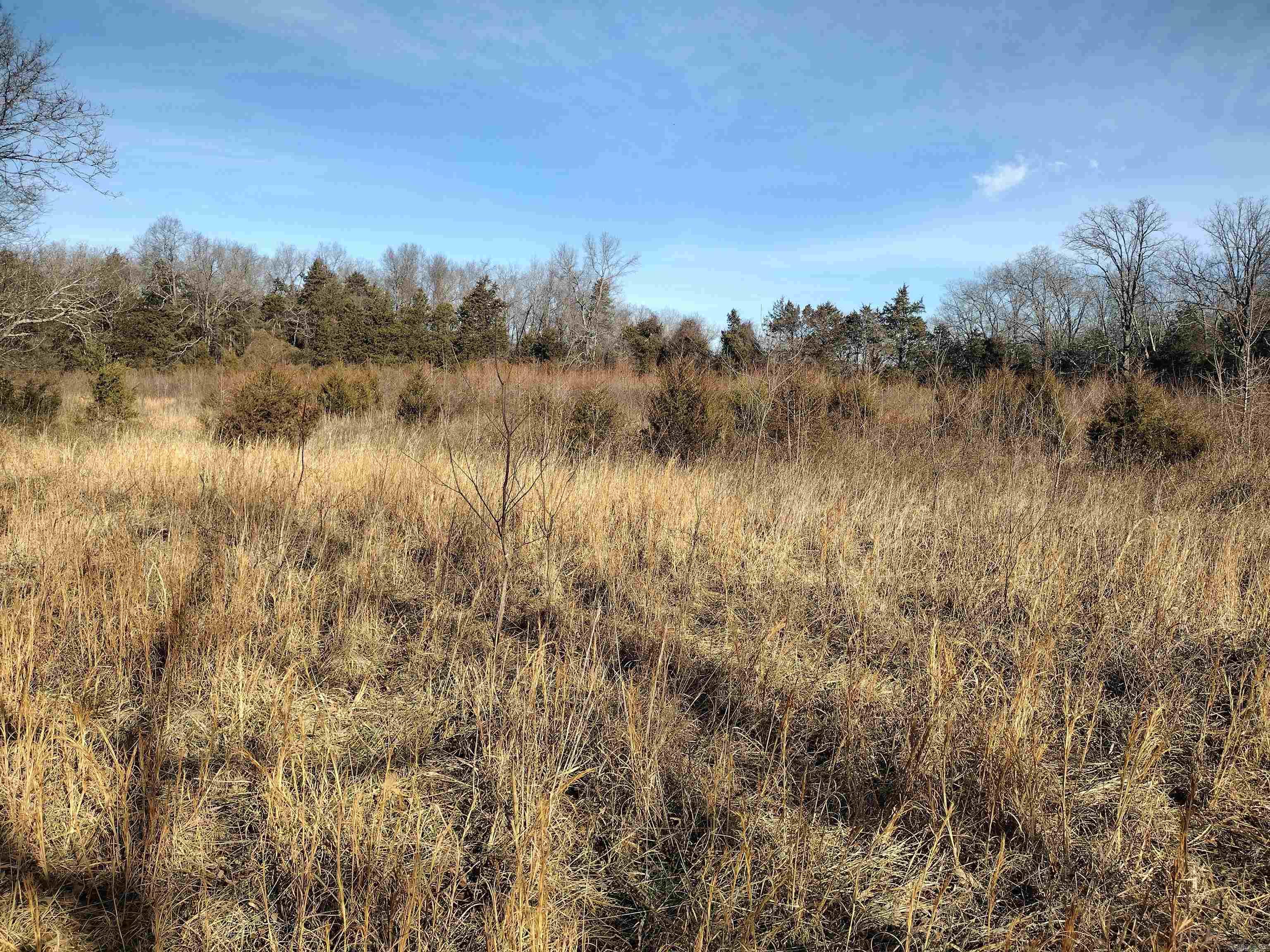 tract 8 St James rd  Mountain View, AR