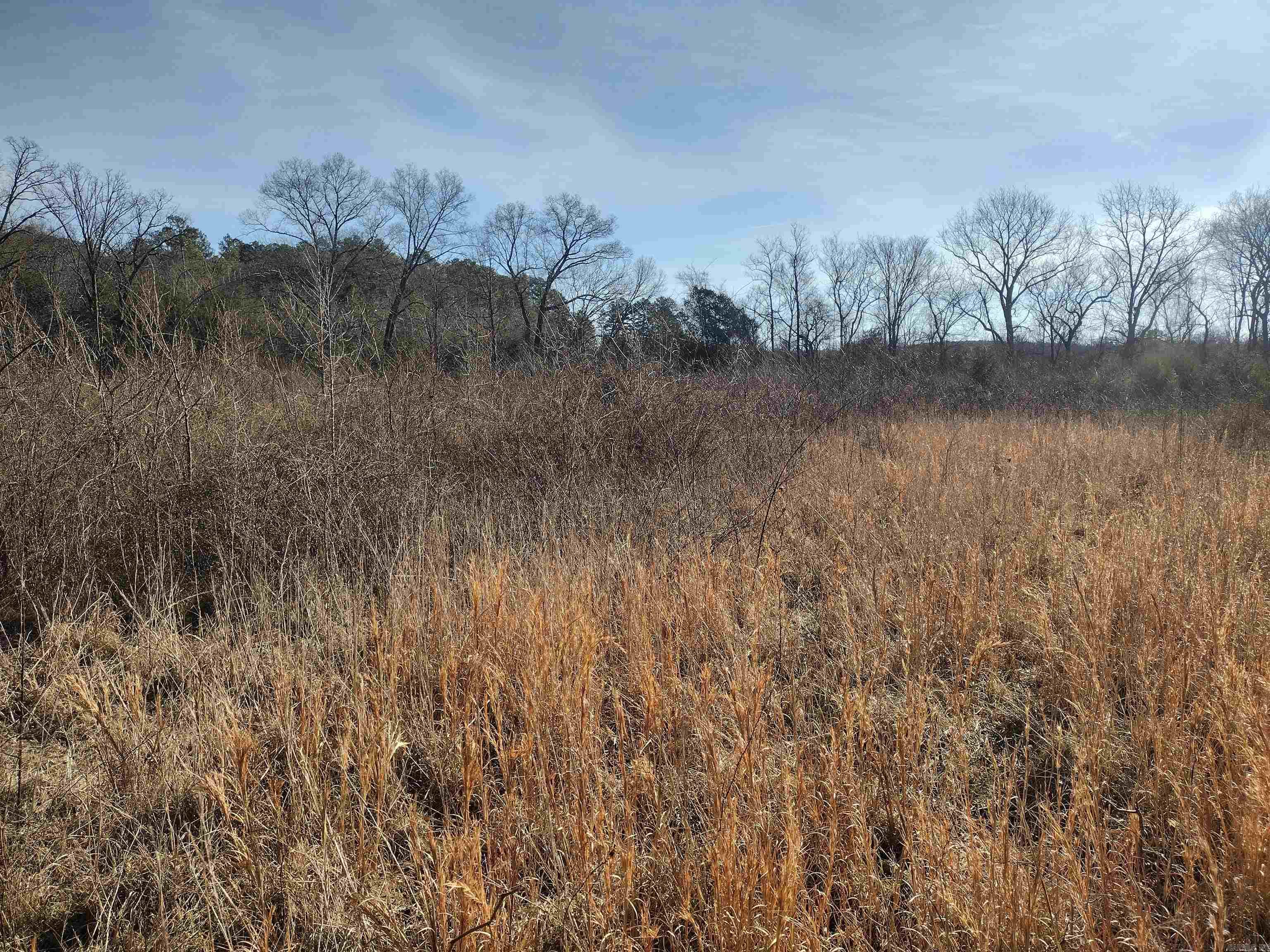 tract 8 St James rd  Mountain View, AR