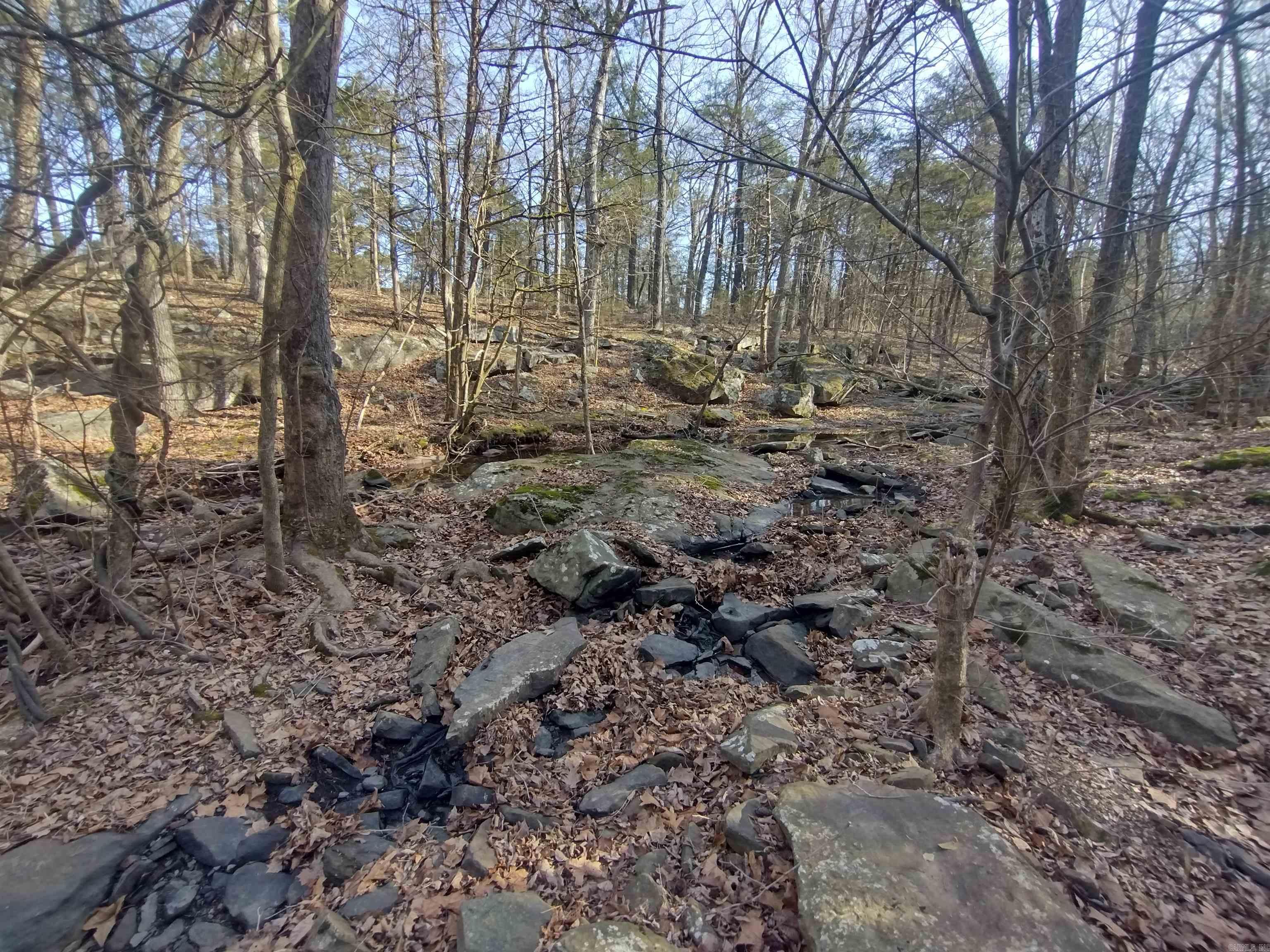 tract 2 Hwy 14  Mountain View, AR