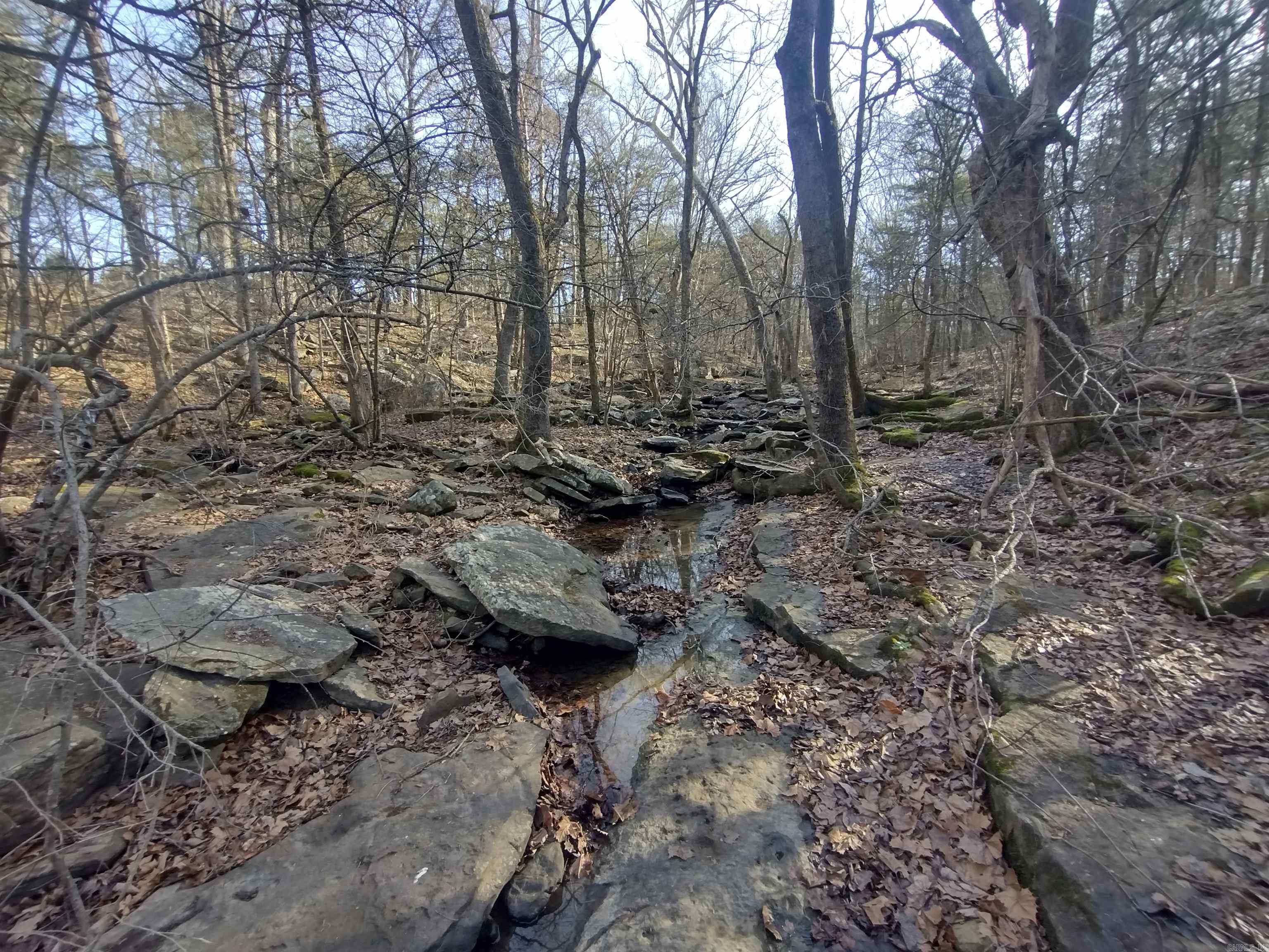 tract 2 Hwy 14  Mountain View, AR