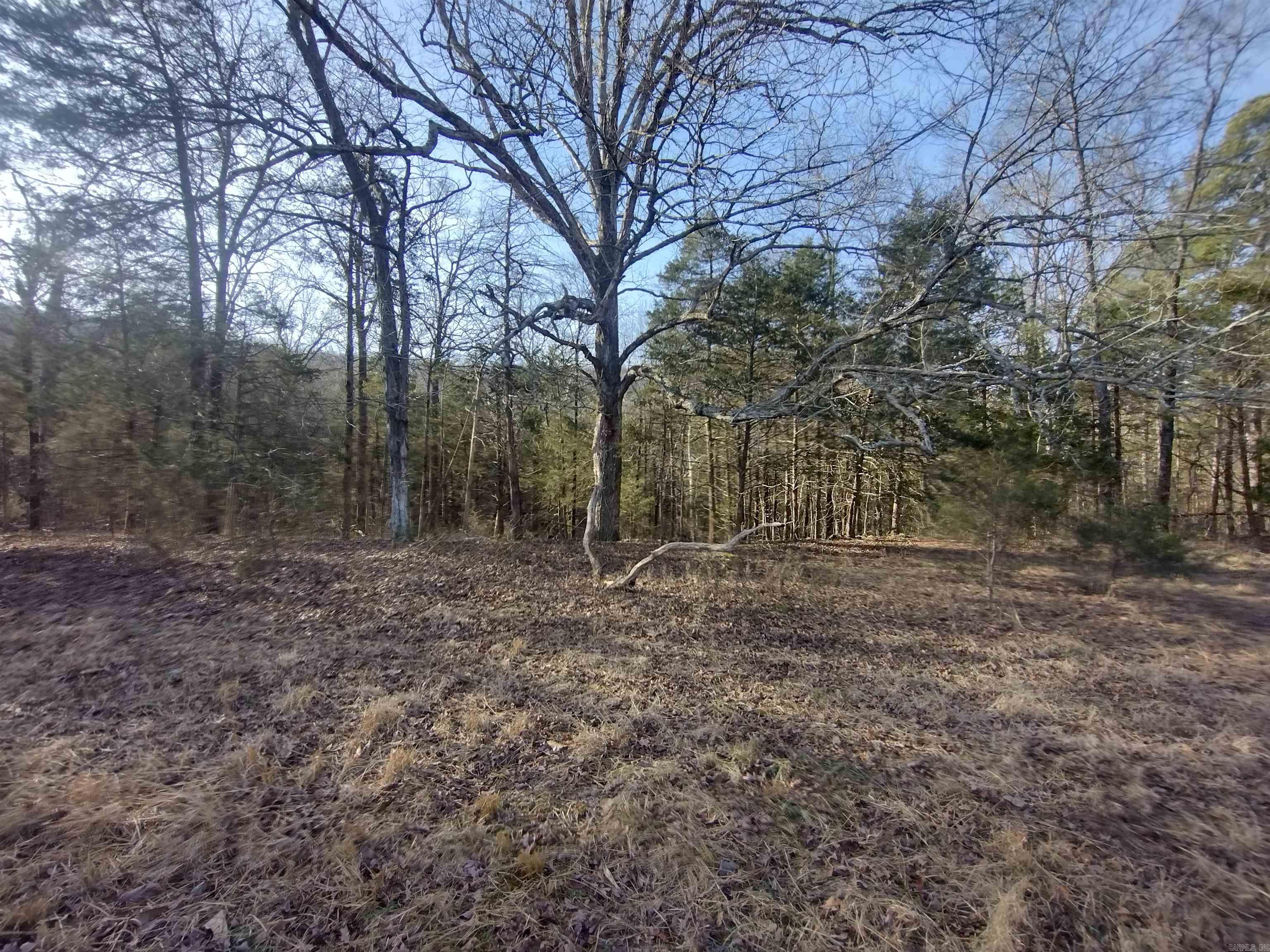 tract 2 Hwy 14  Mountain View, AR