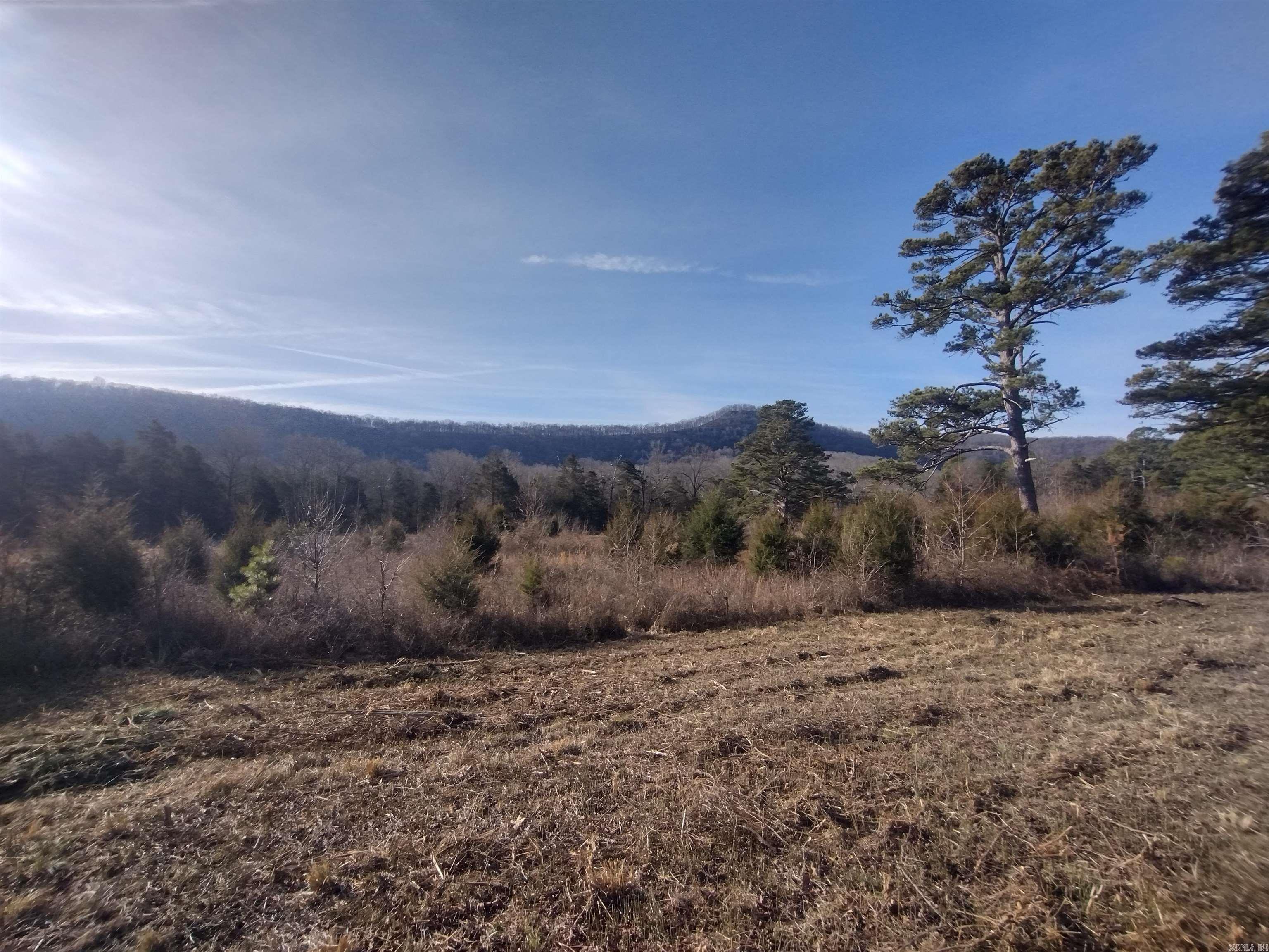 tract 2 Hwy 14  Mountain View, AR