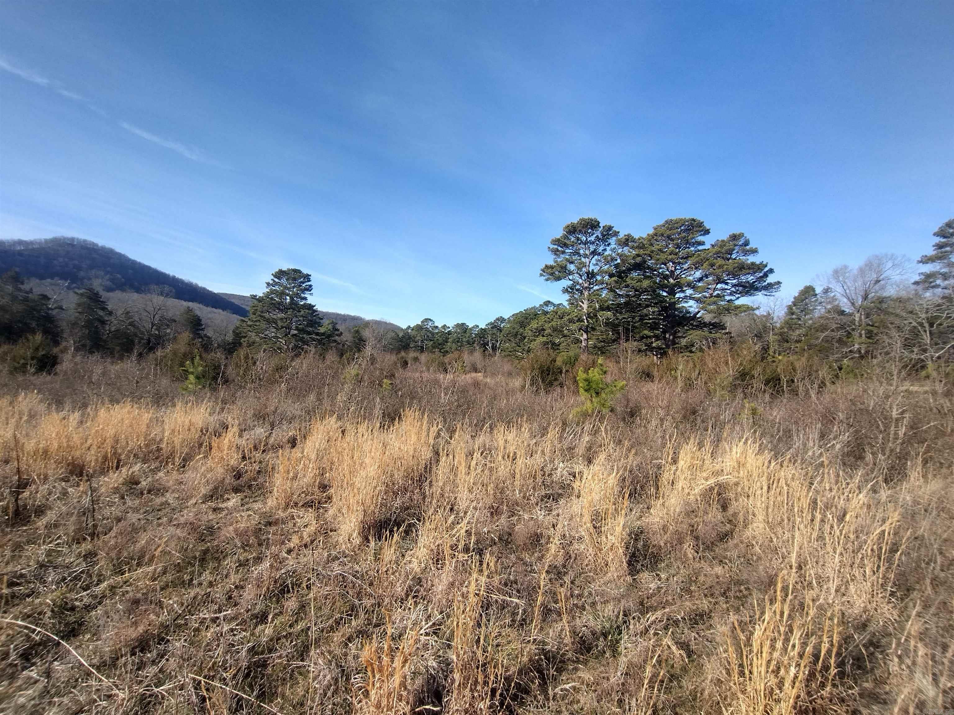 tract 2 Hwy 14  Mountain View, AR