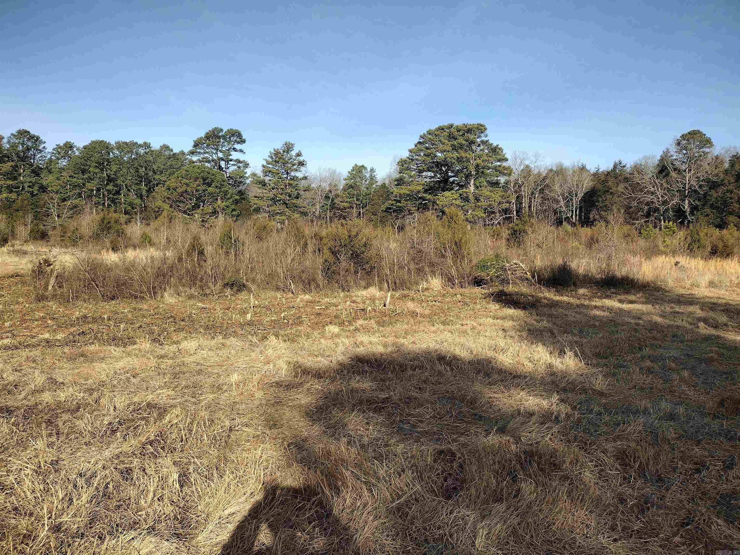 tract 2 Hwy 14  Mountain View, AR