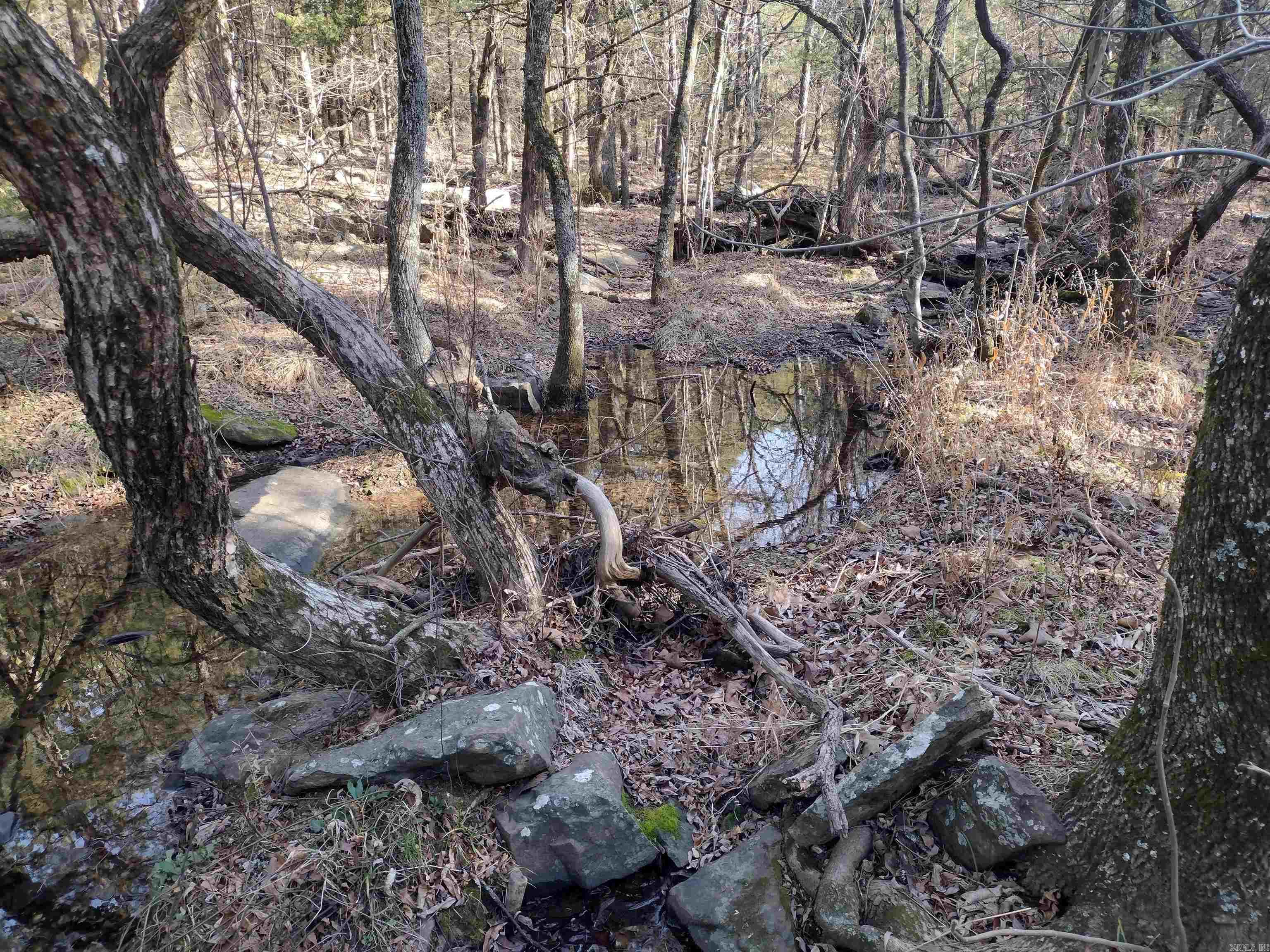 tract 2 Hwy 14  Mountain View, AR