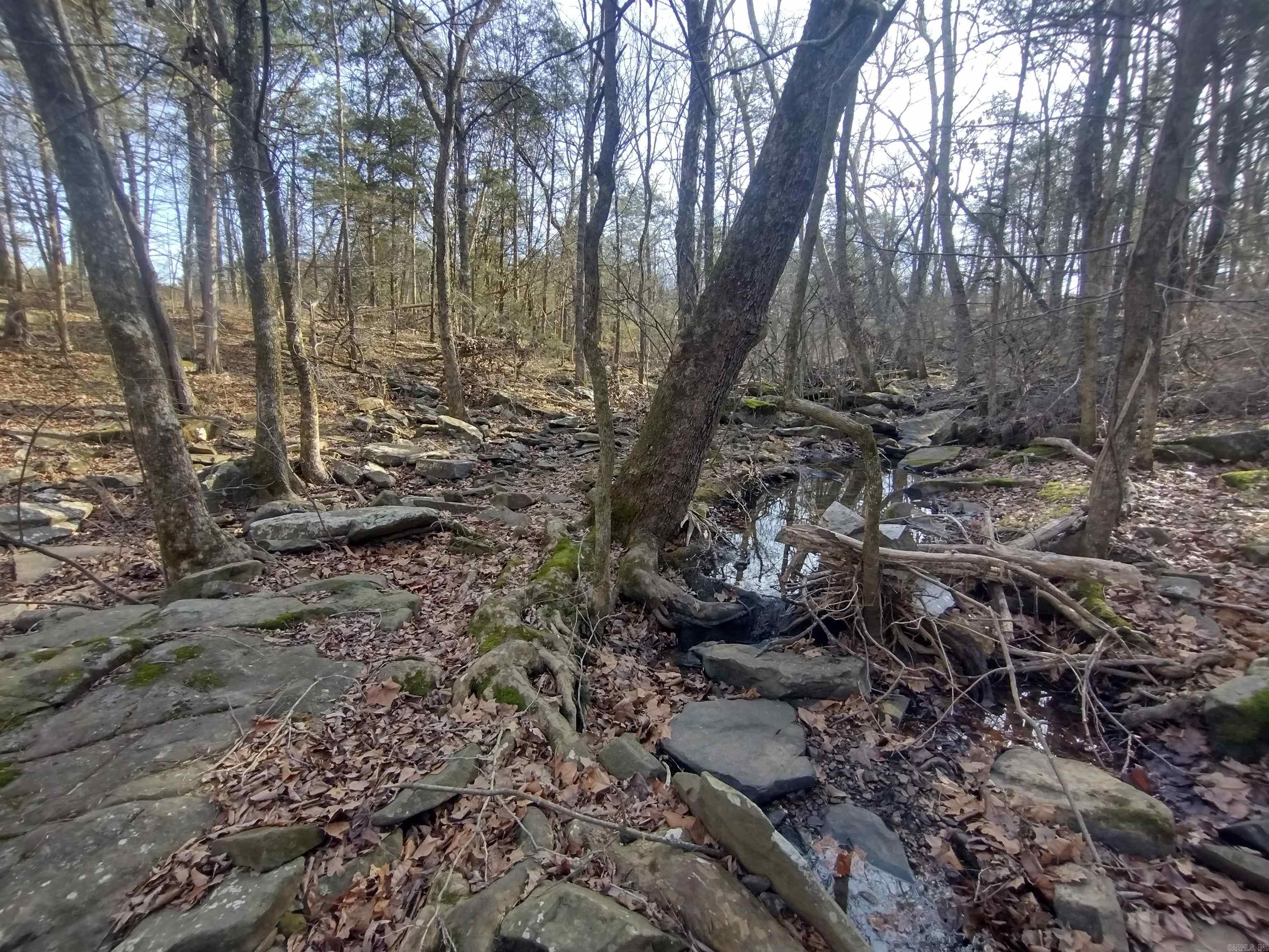 tract 2 Hwy 14  Mountain View, AR