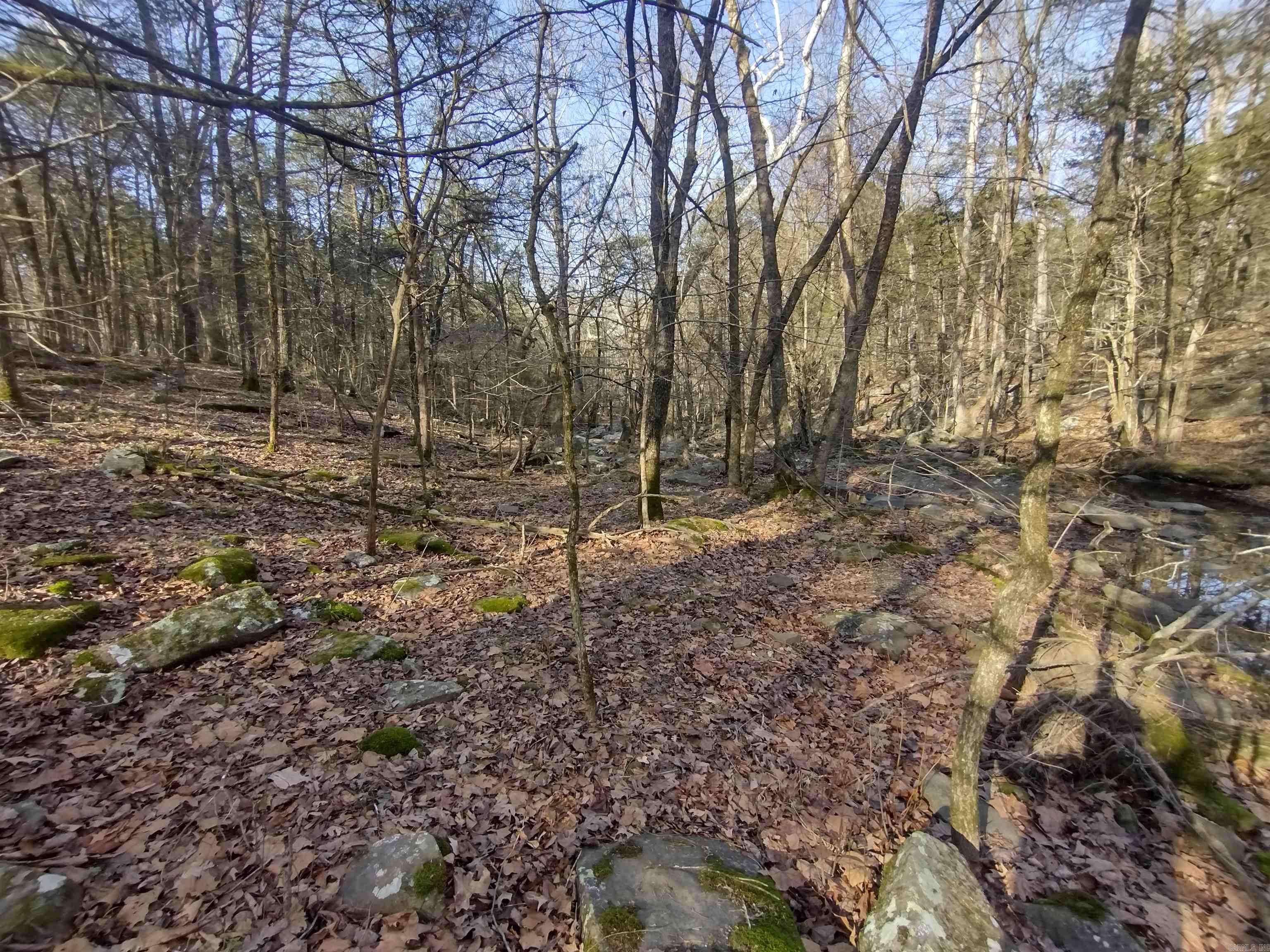 tract 2 Hwy 14  Mountain View, AR