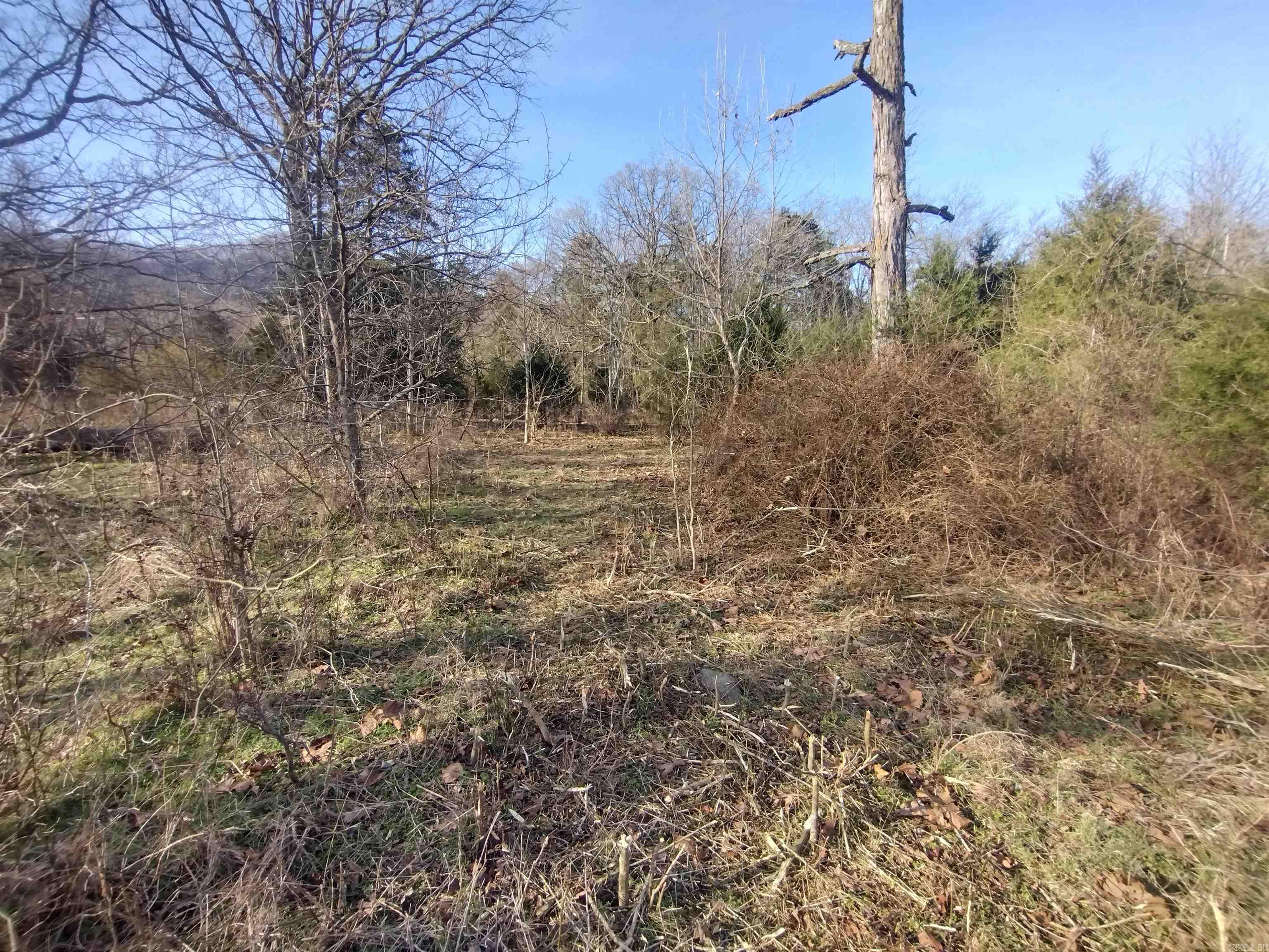 Tract 1 HWY 14 e  Mountain View, AR