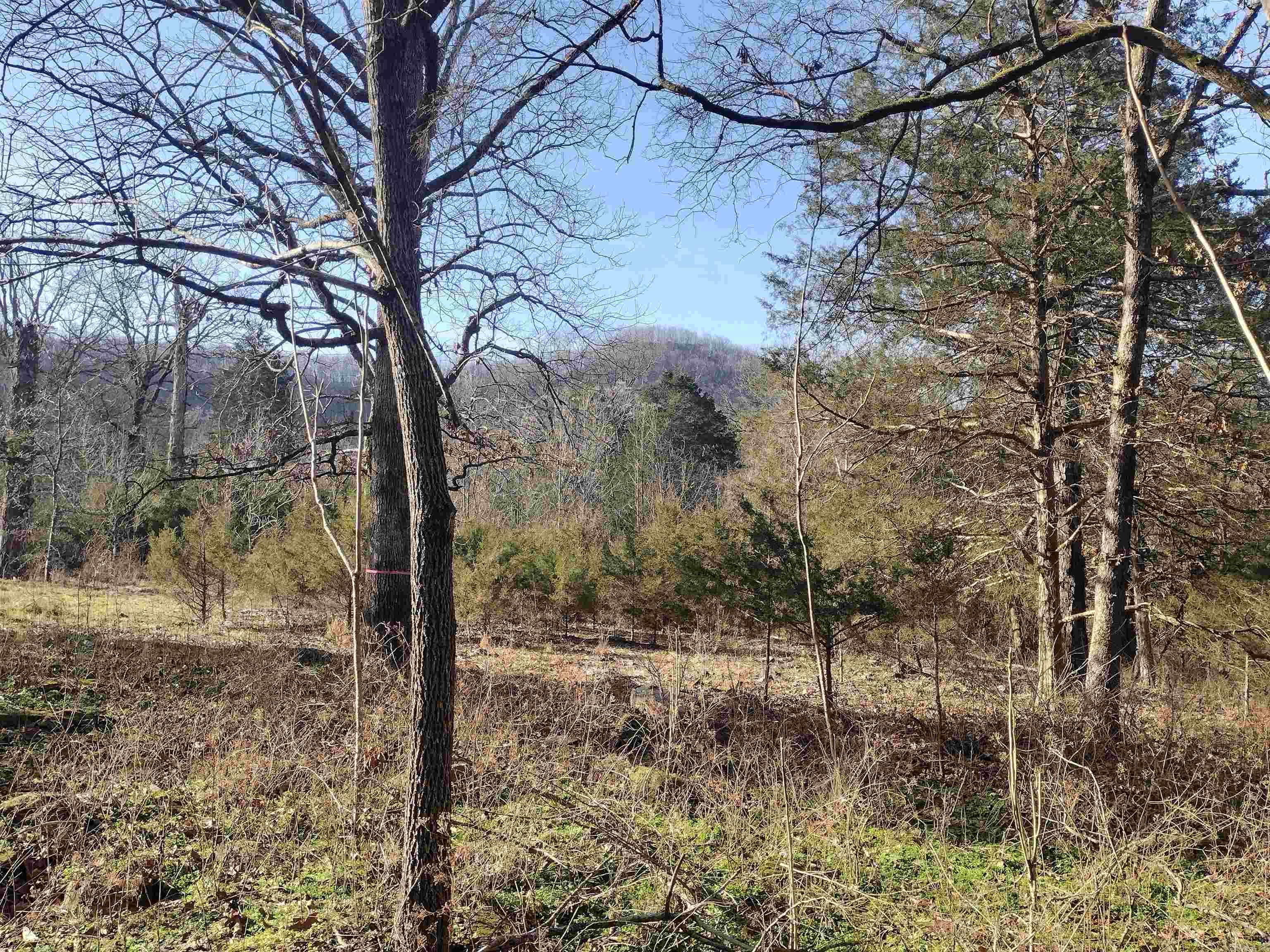 Tract 1 HWY 14 e  Mountain View, AR