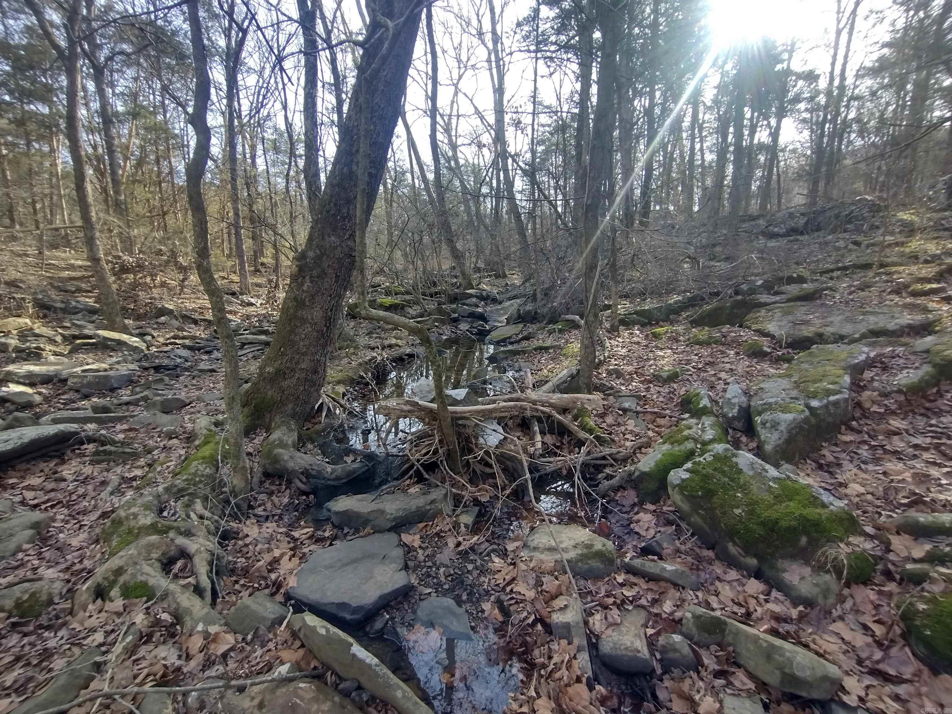 Tract 1 HWY 14 e  Mountain View, AR