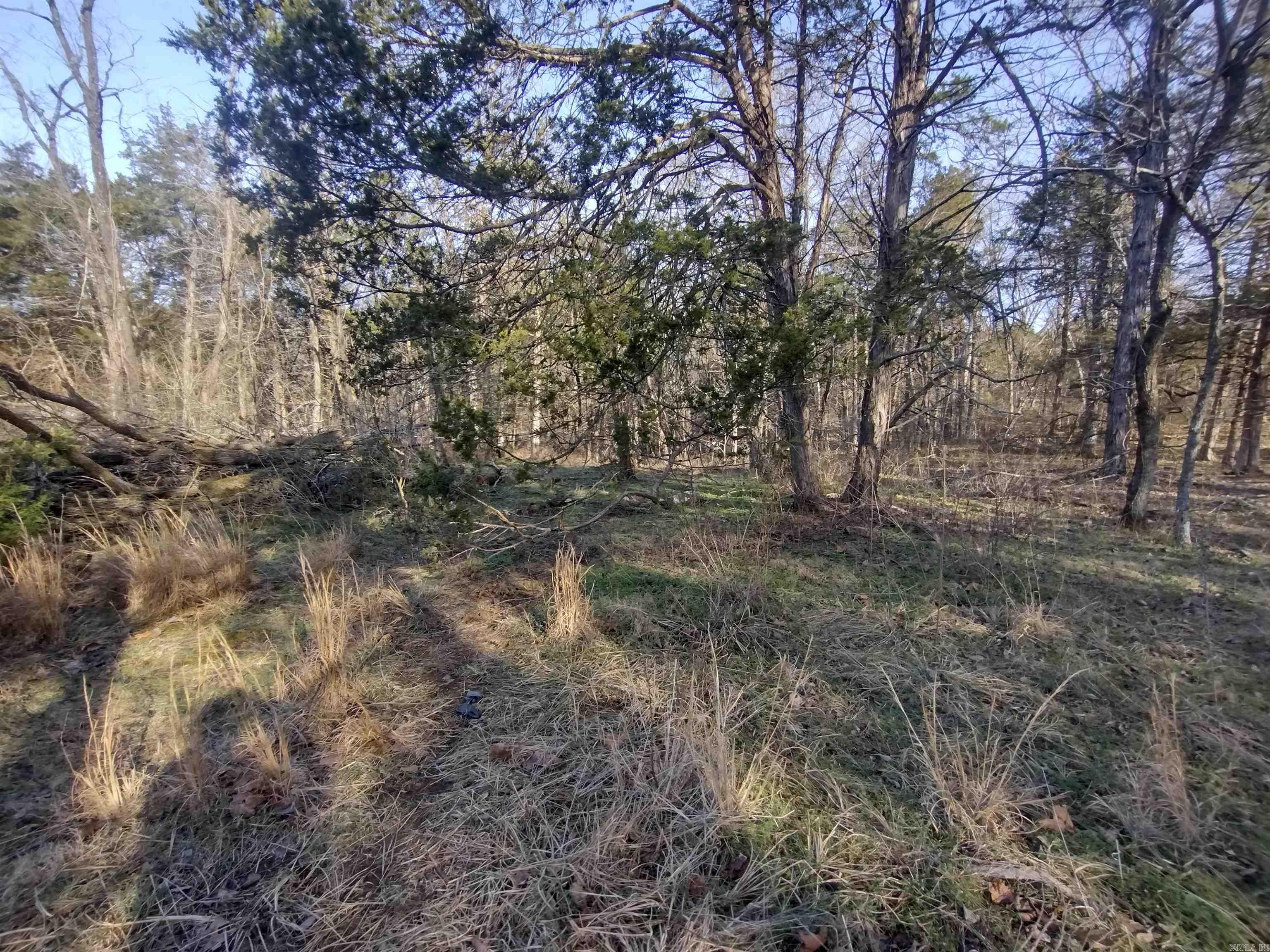 Tract 1 HWY 14 e  Mountain View, AR