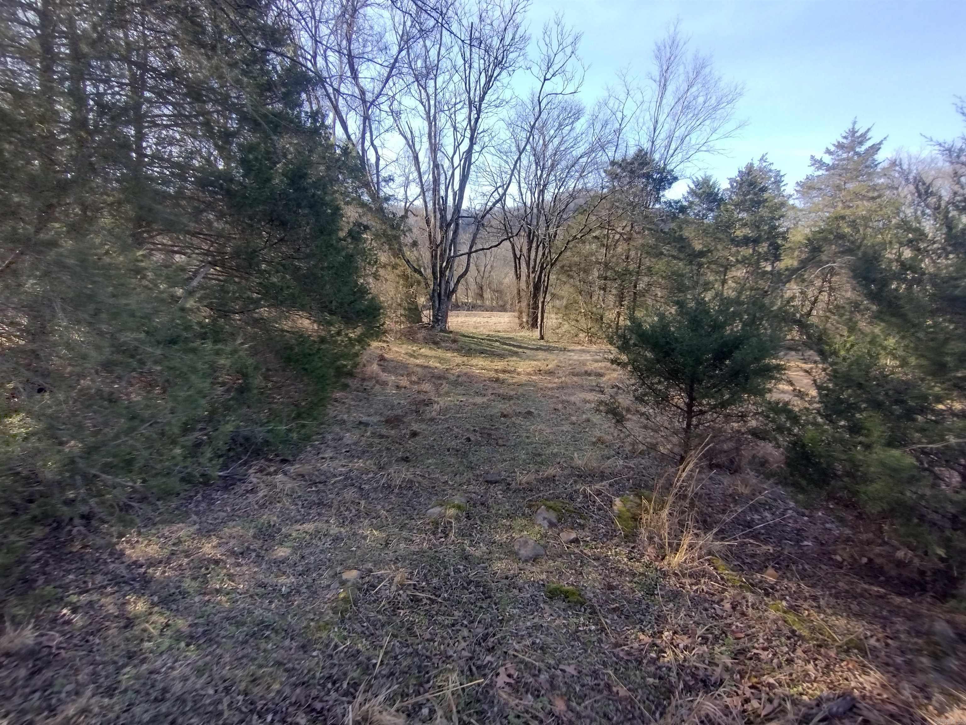 Tract 1 HWY 14 e  Mountain View, AR