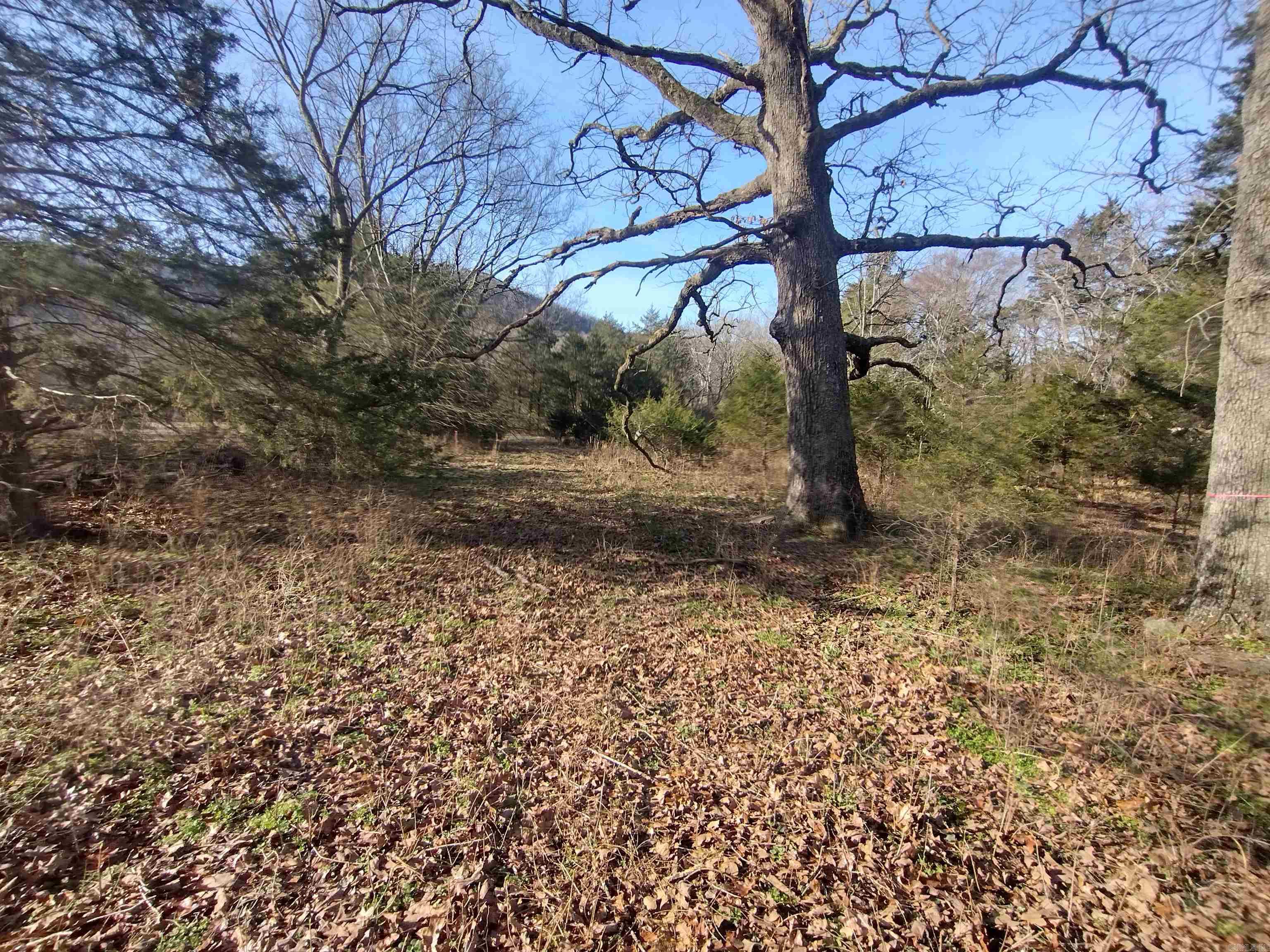 Tract 1 HWY 14 e  Mountain View, AR