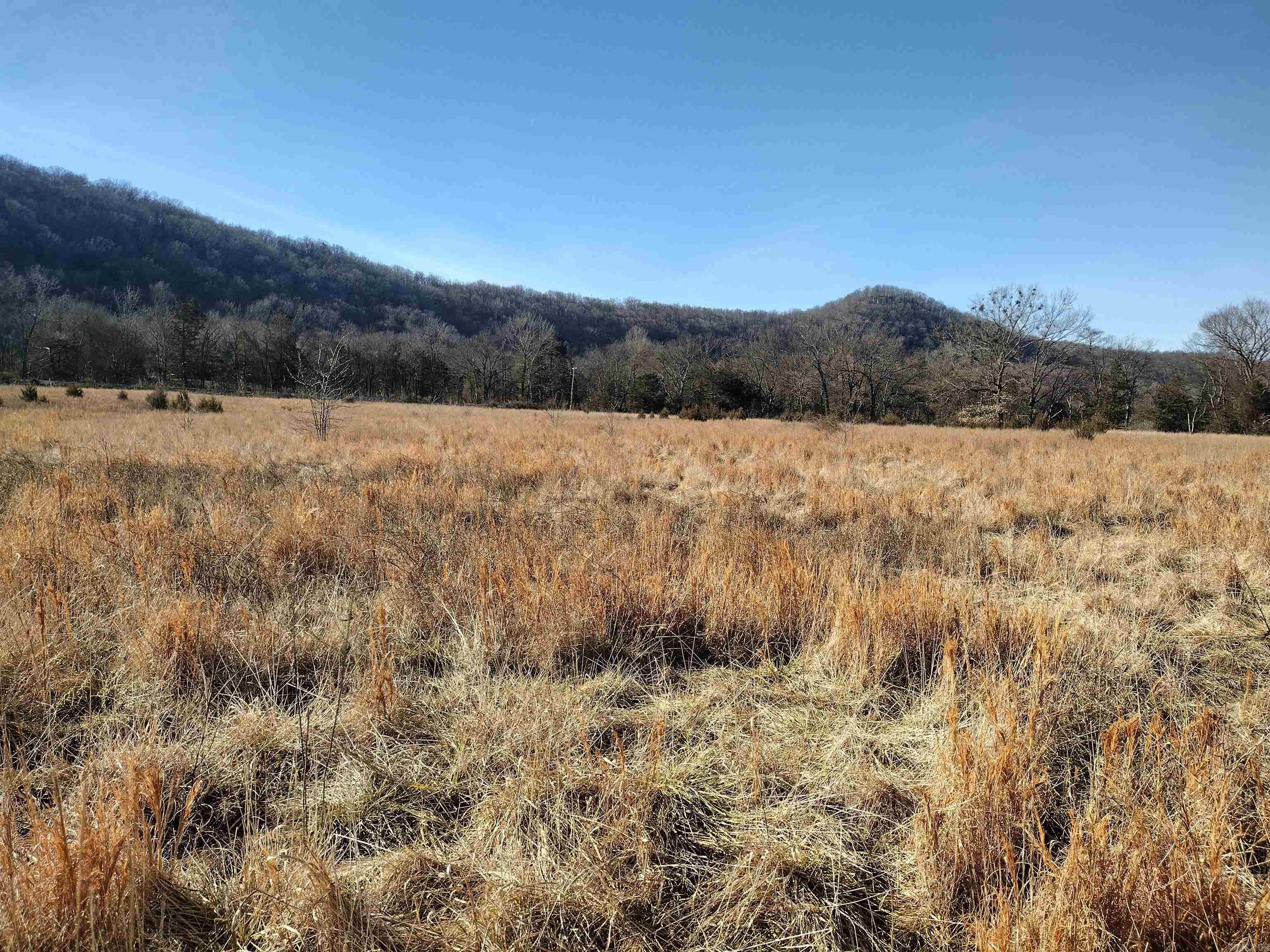 tract 5/6/7 HWY 14 e  Mountain View, AR