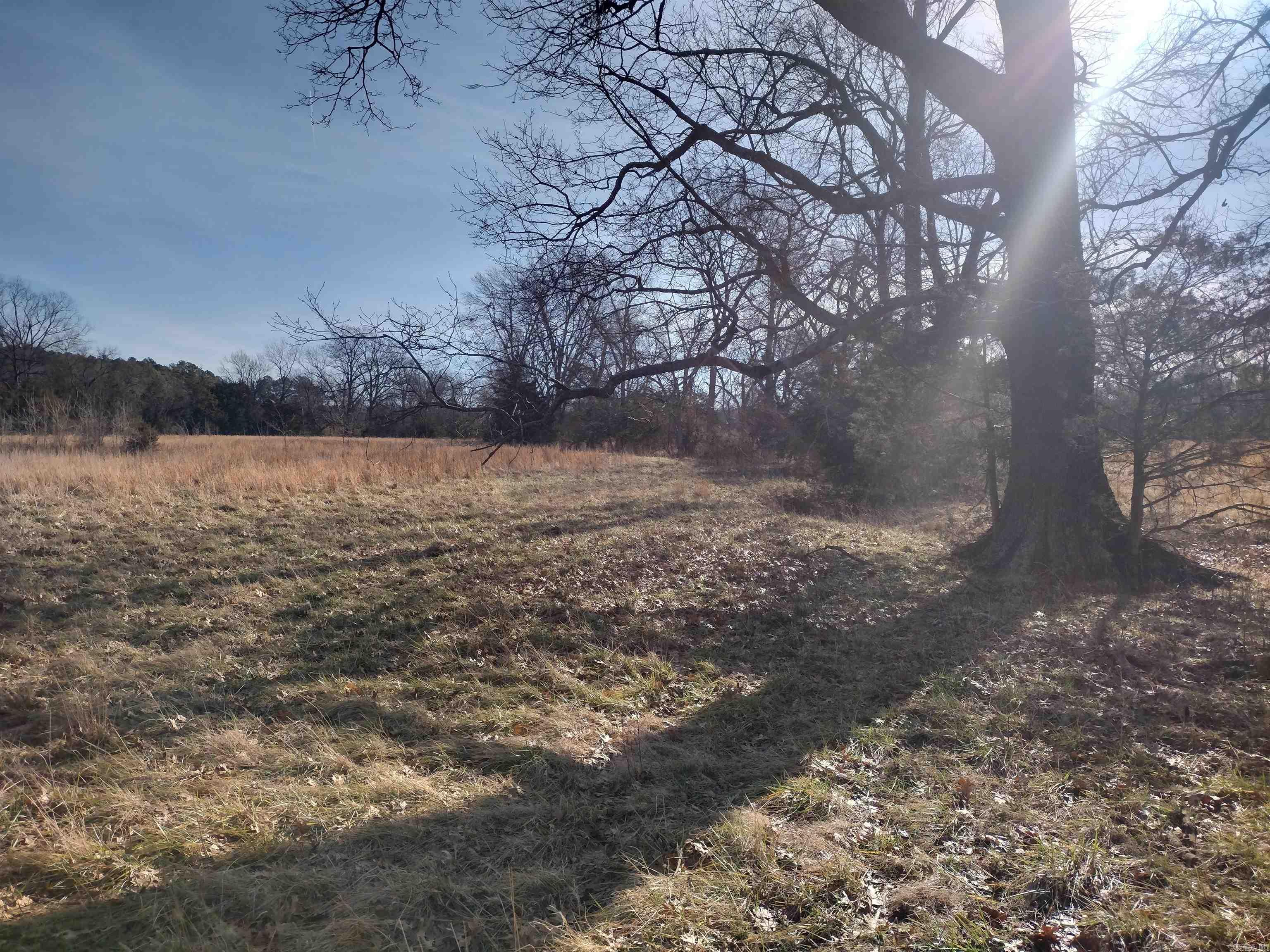 tract 5/6/7 HWY 14 e  Mountain View, AR