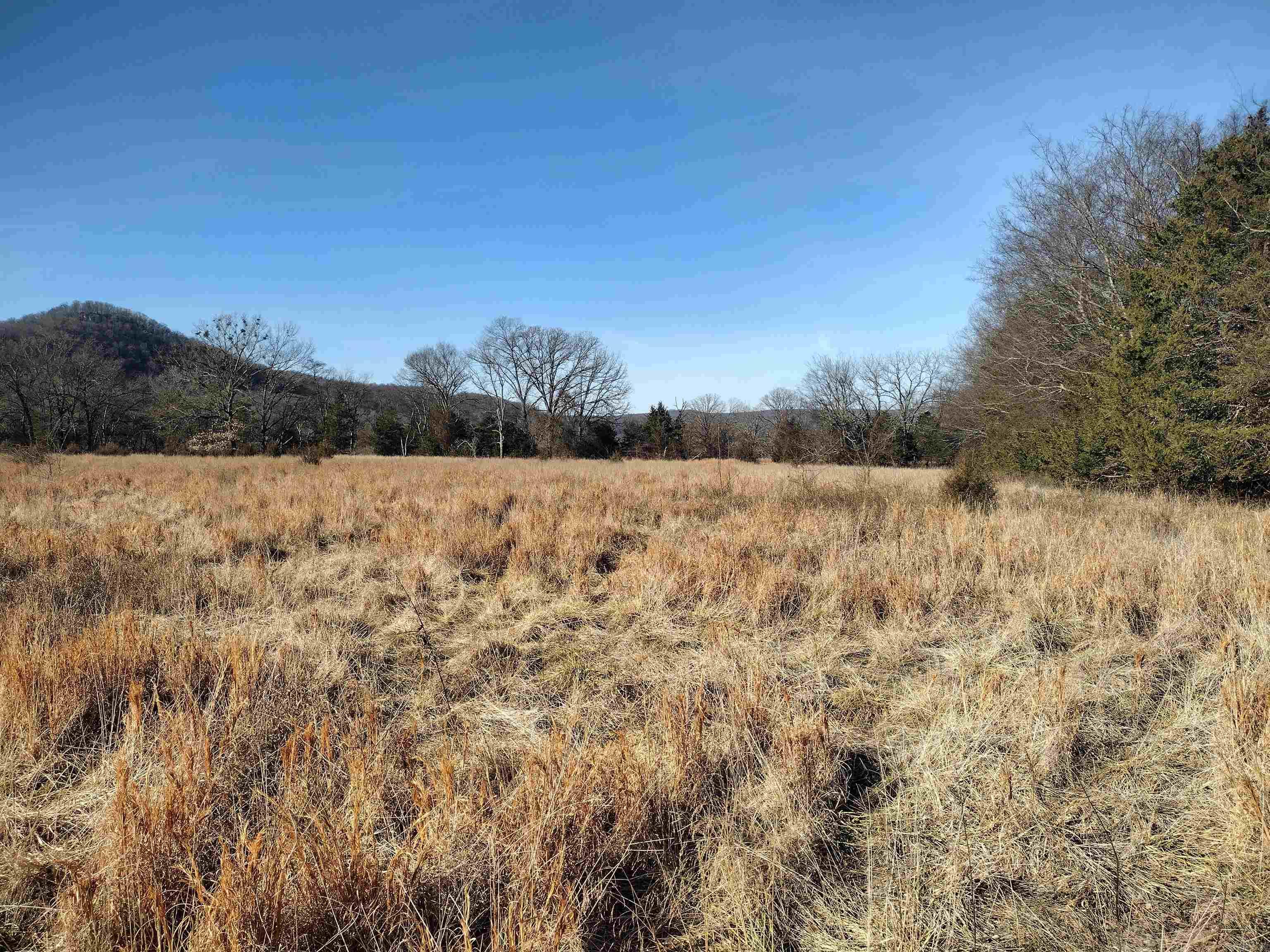 tract 5/6/7 HWY 14 e  Mountain View, AR