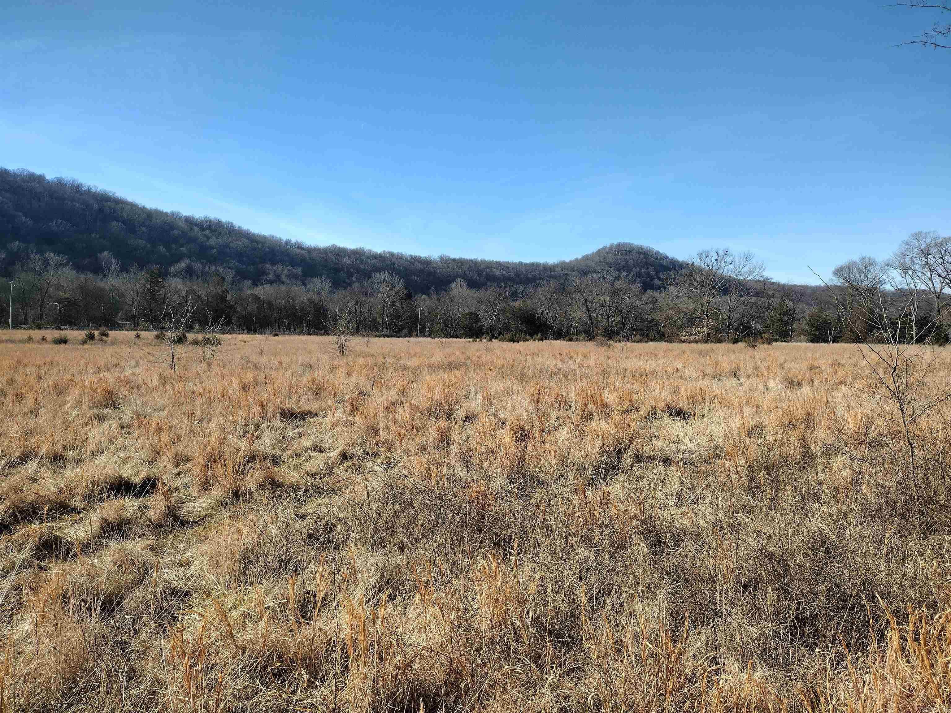 tract 5/6/7 HWY 14 e  Mountain View, AR