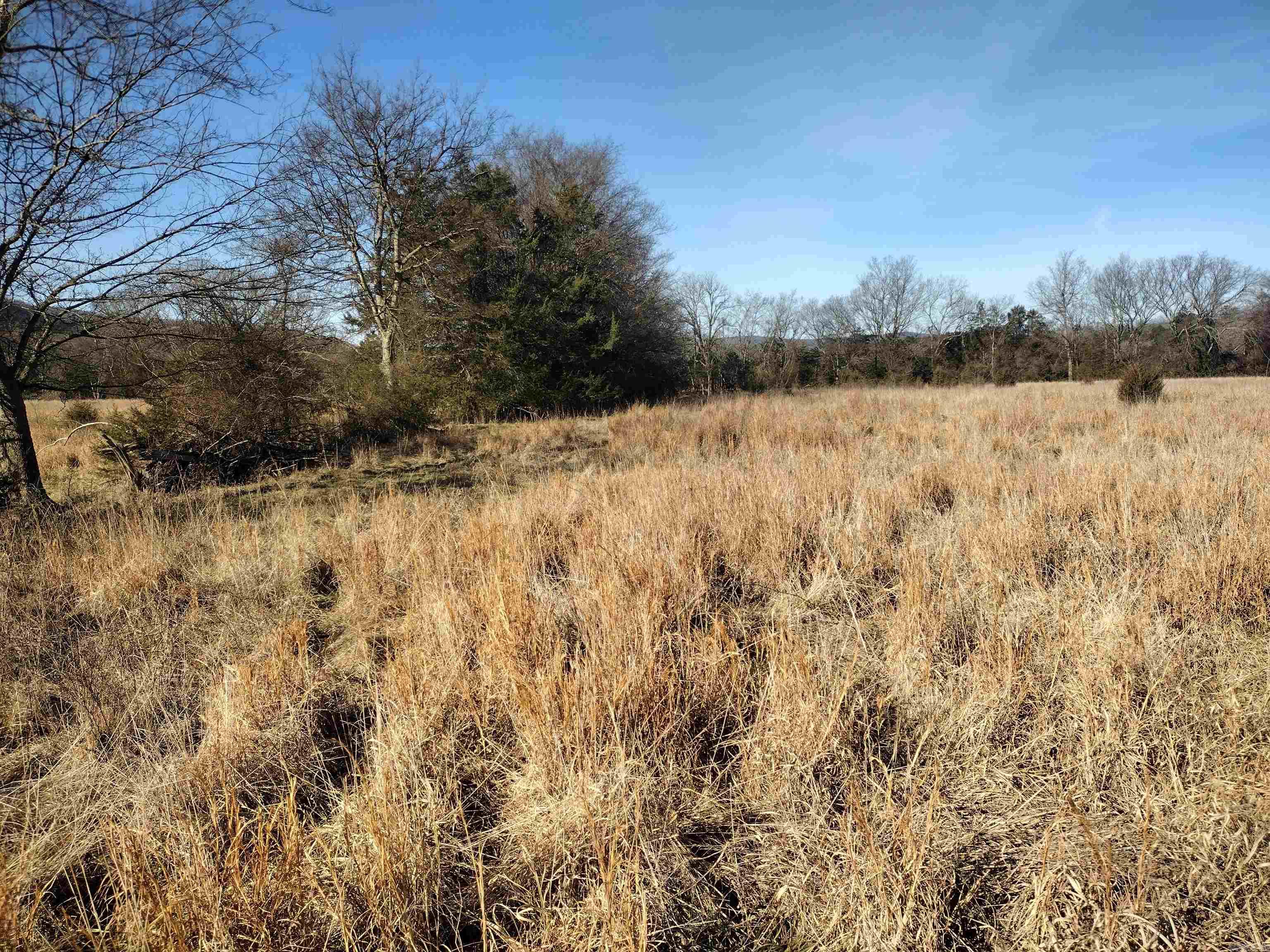 tract 5/6/7 HWY 14 e  Mountain View, AR